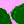 Landscape 6