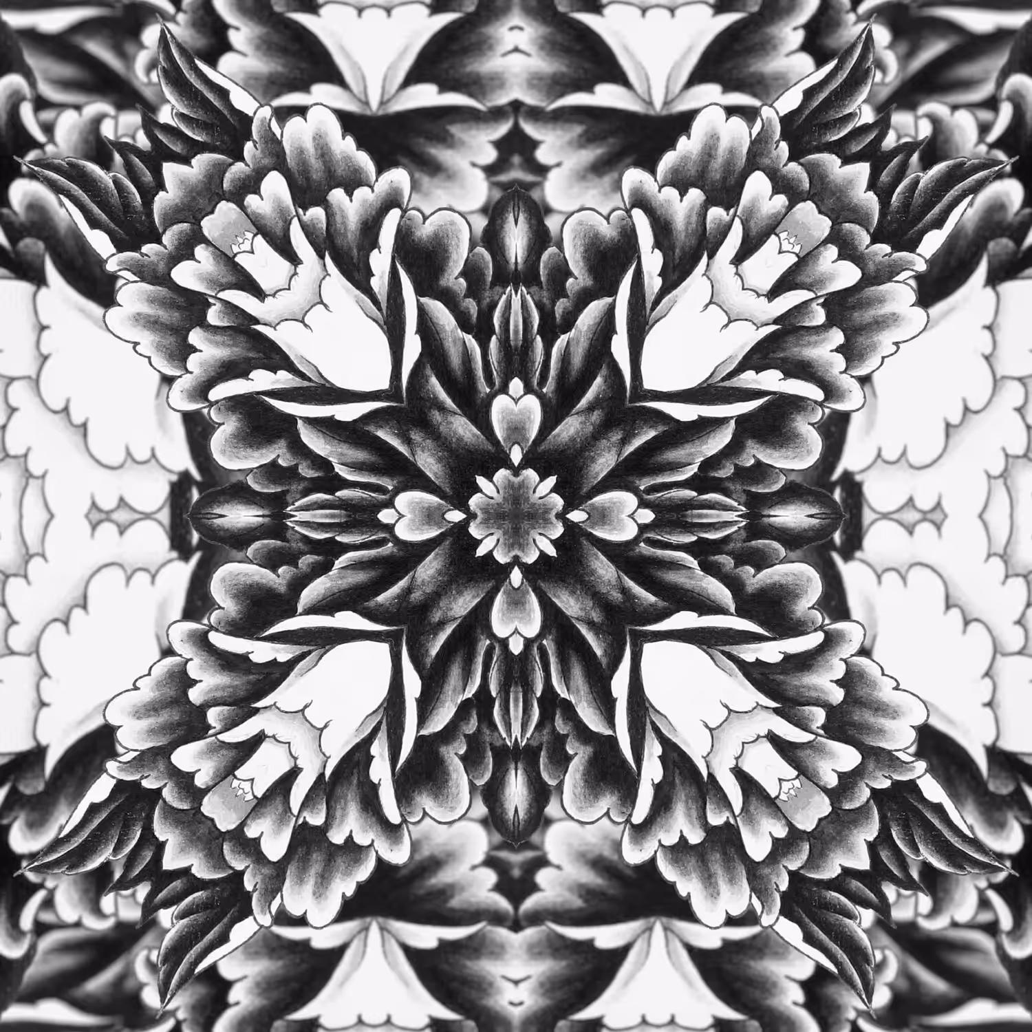 Peony 1 (2 of 4)