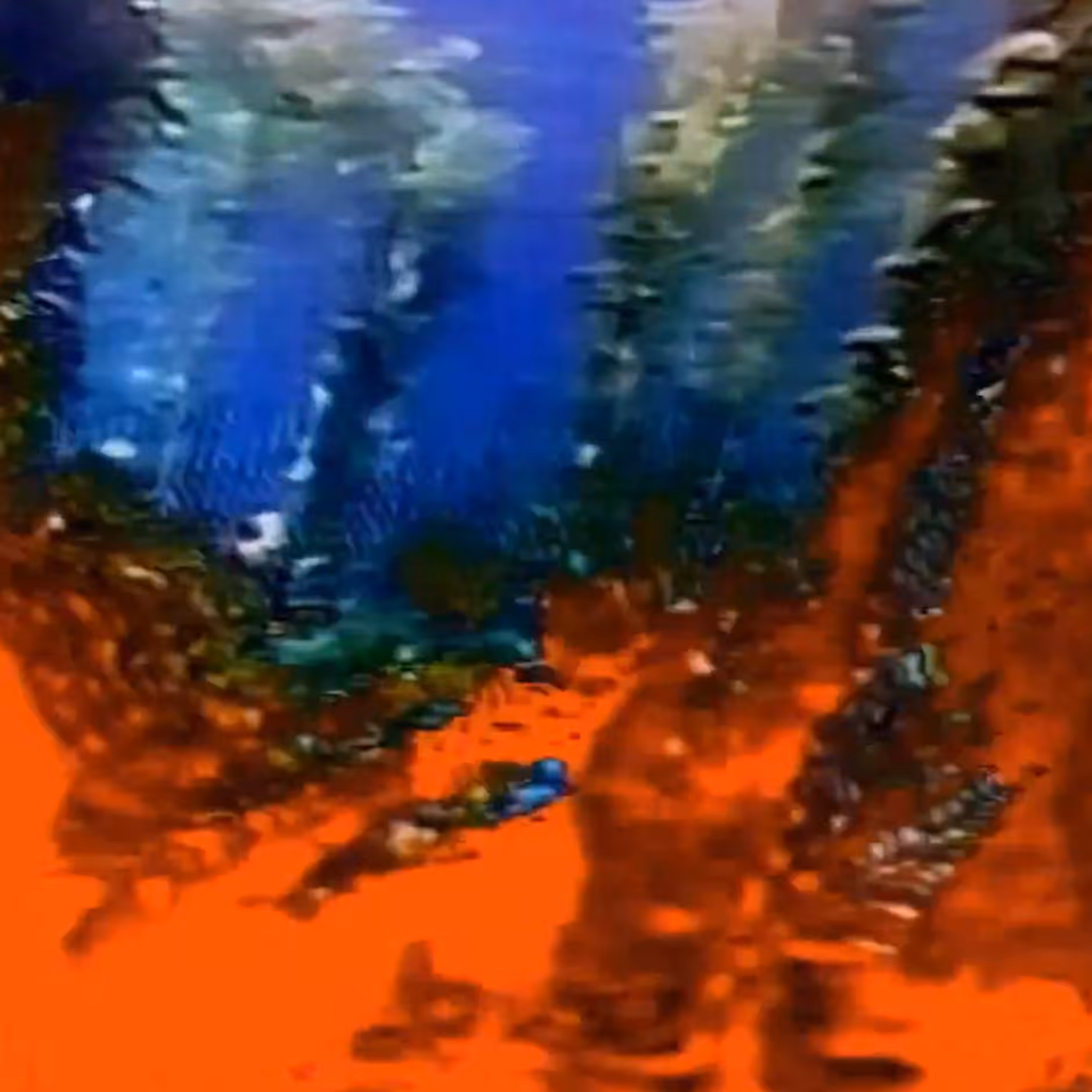 vhs dream 0056