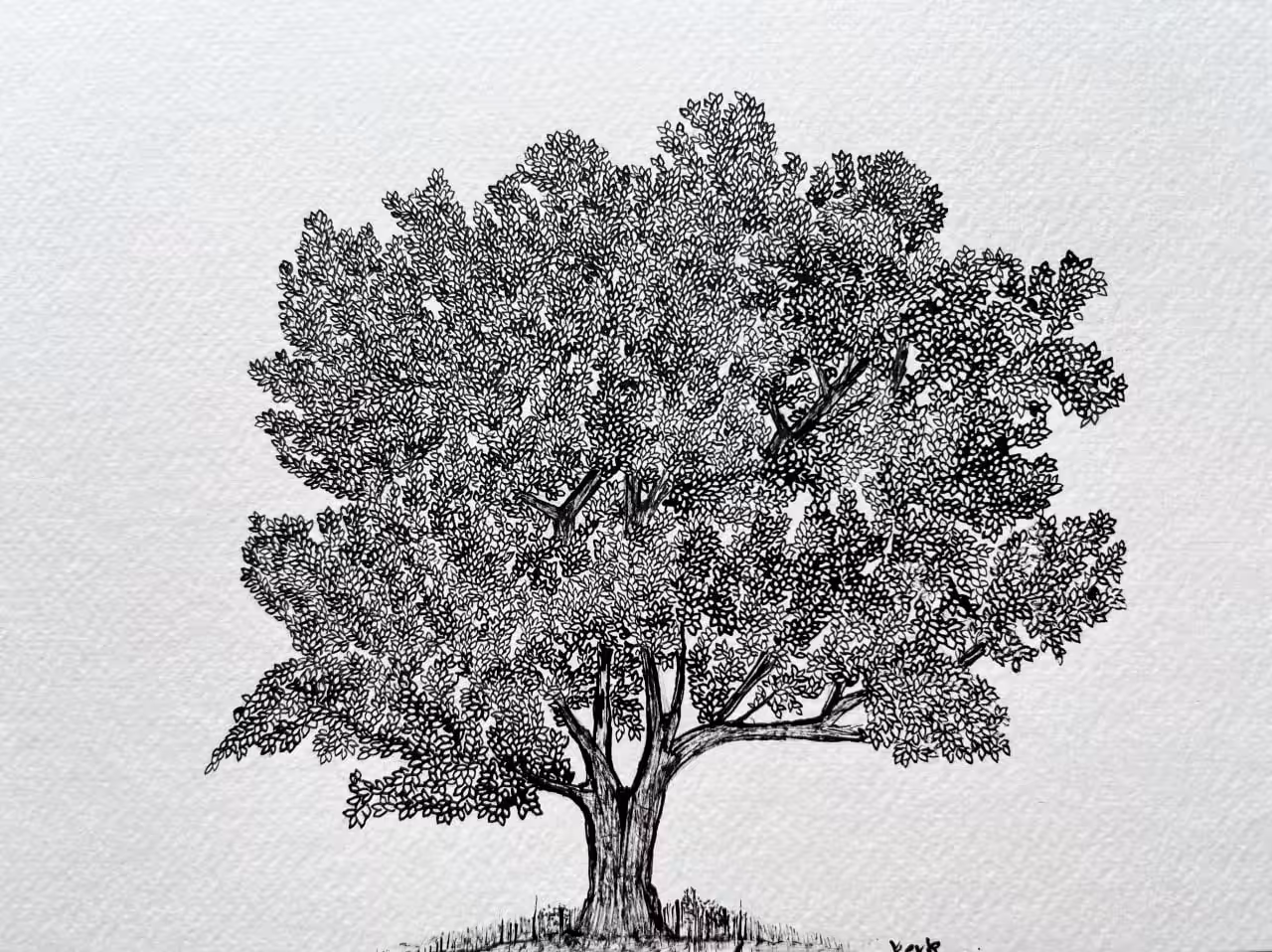 Memory Tree