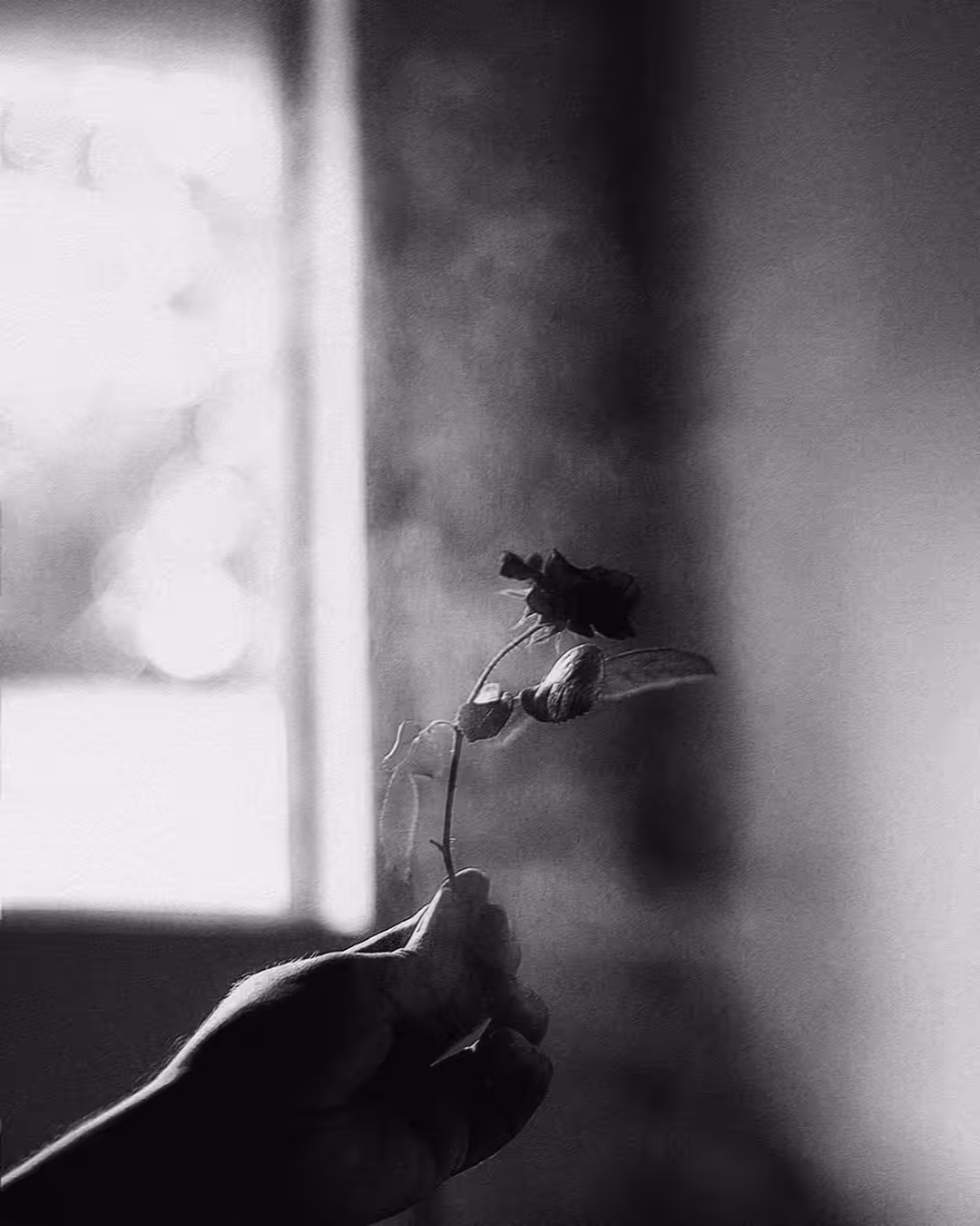 Sombre