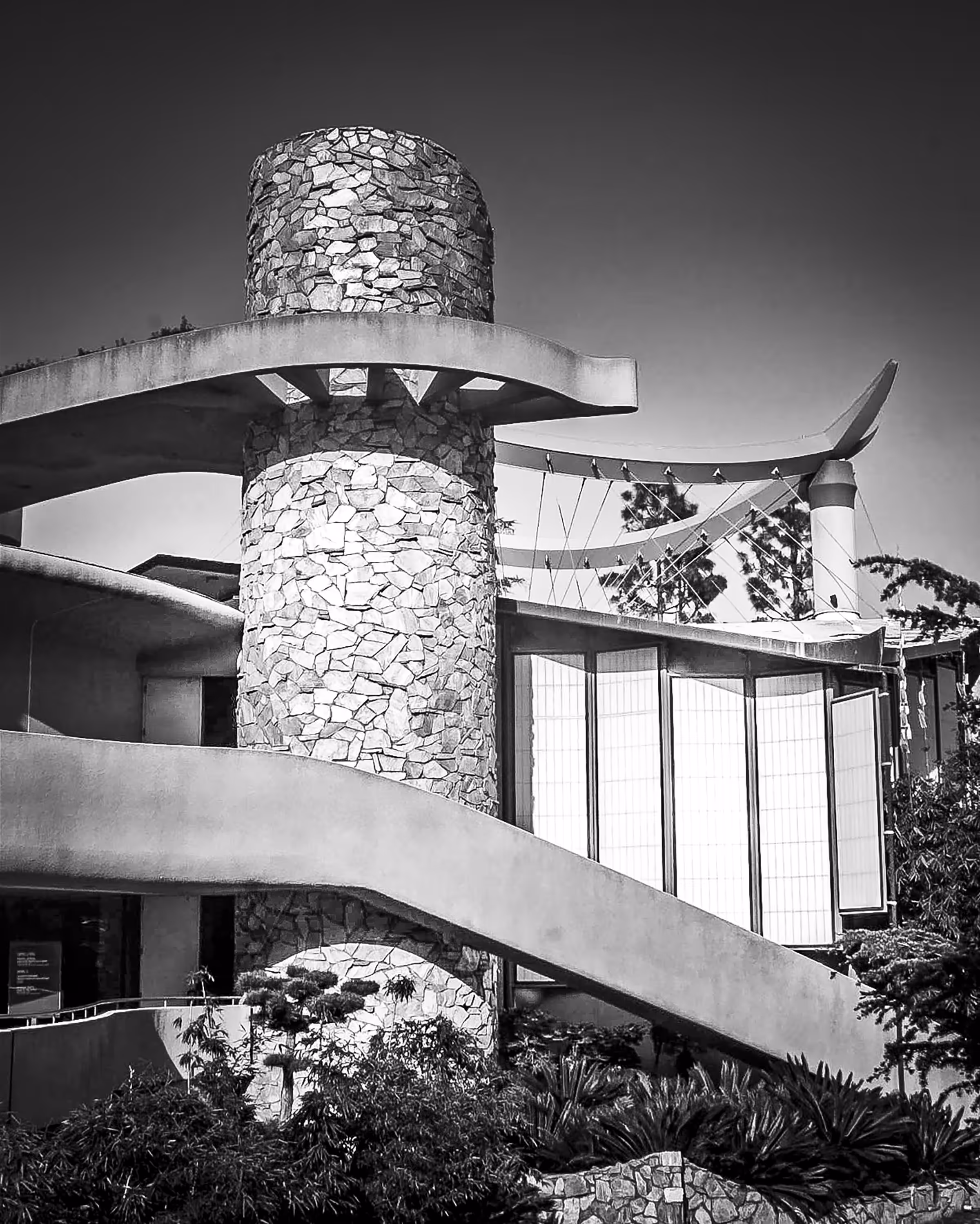 Lily White Black & White: LACMA