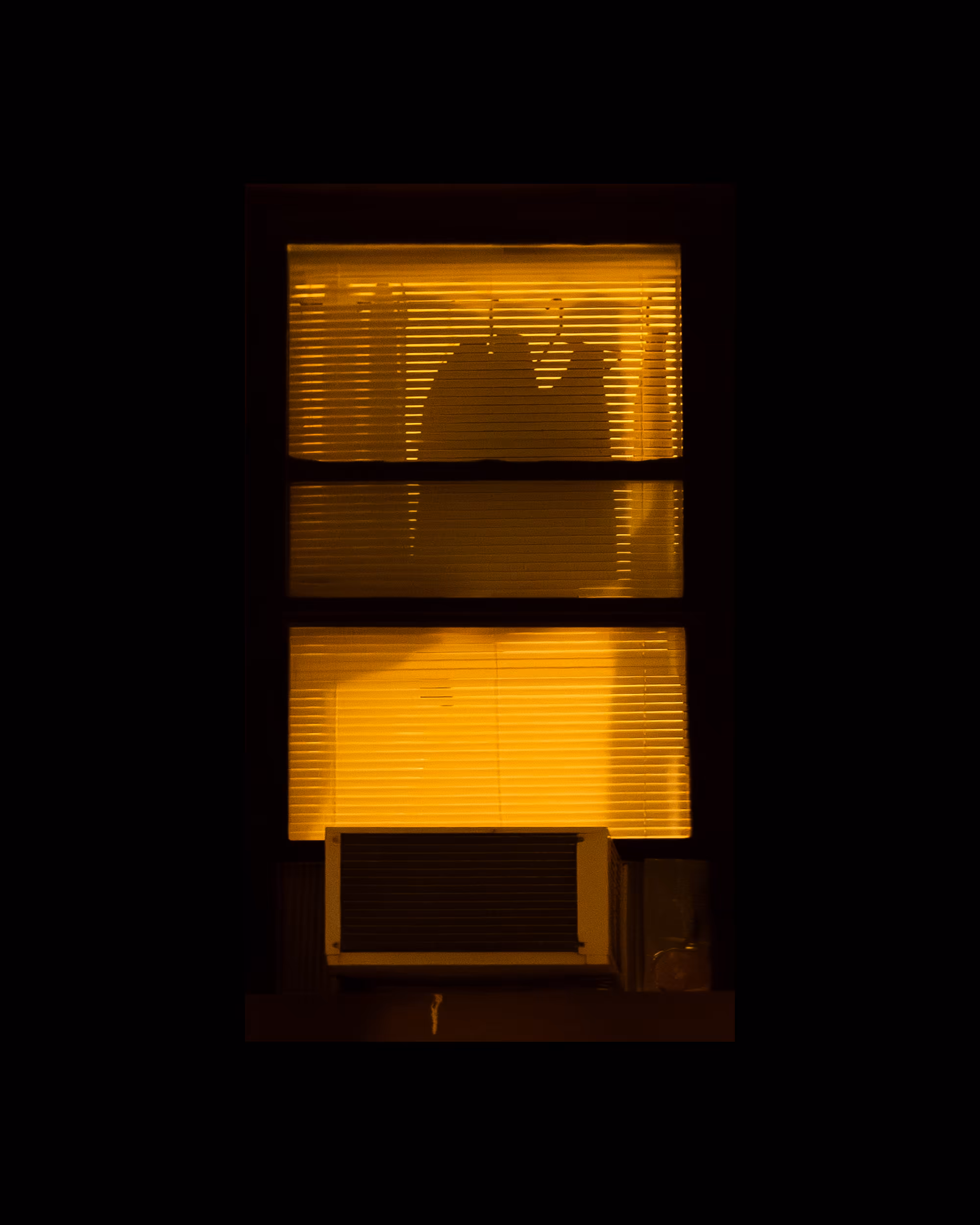 WINDOW 901