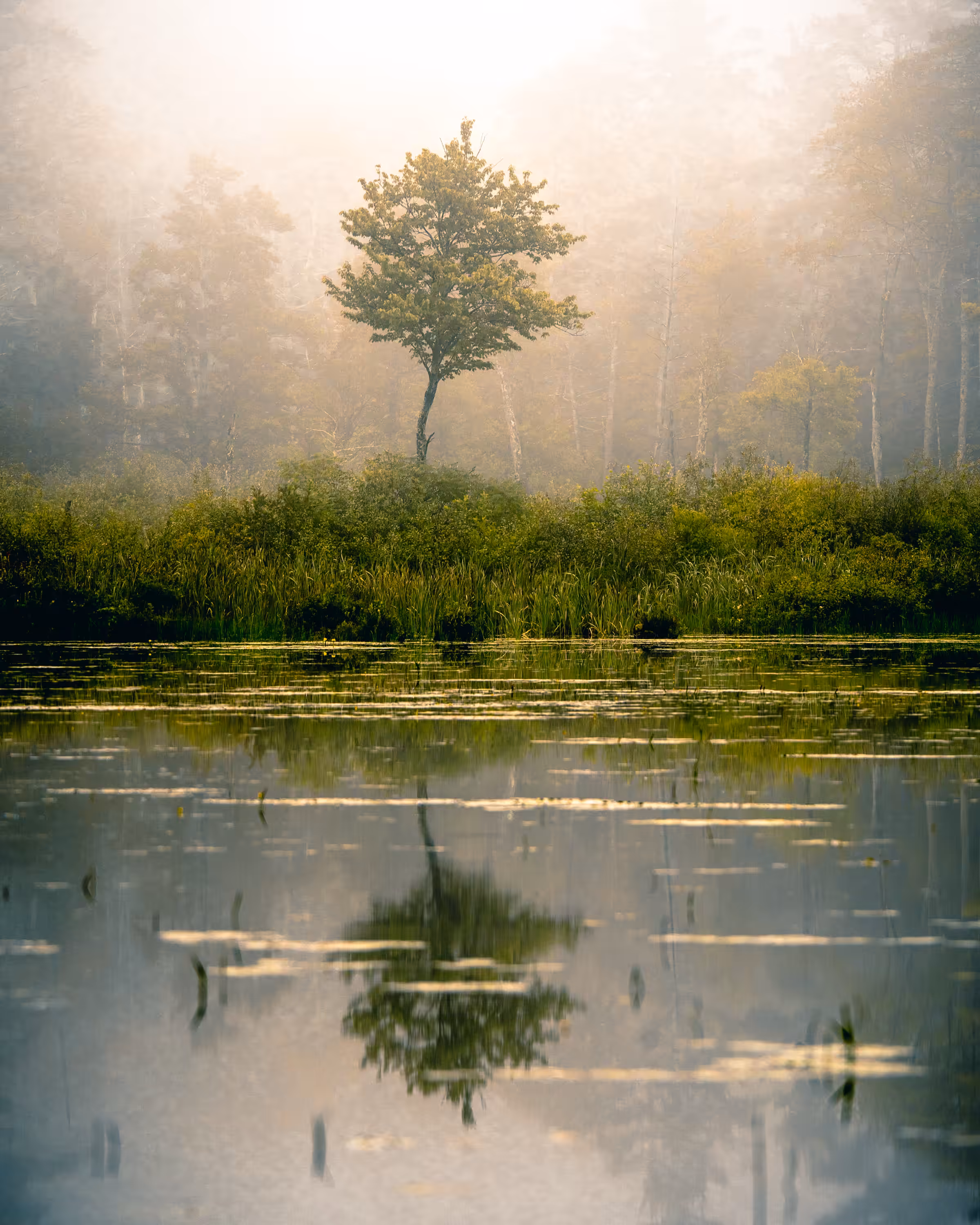 Reflecting Alone