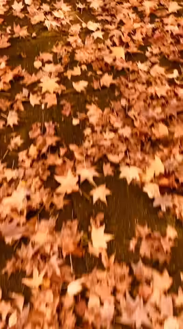 May68: Autumn is coming