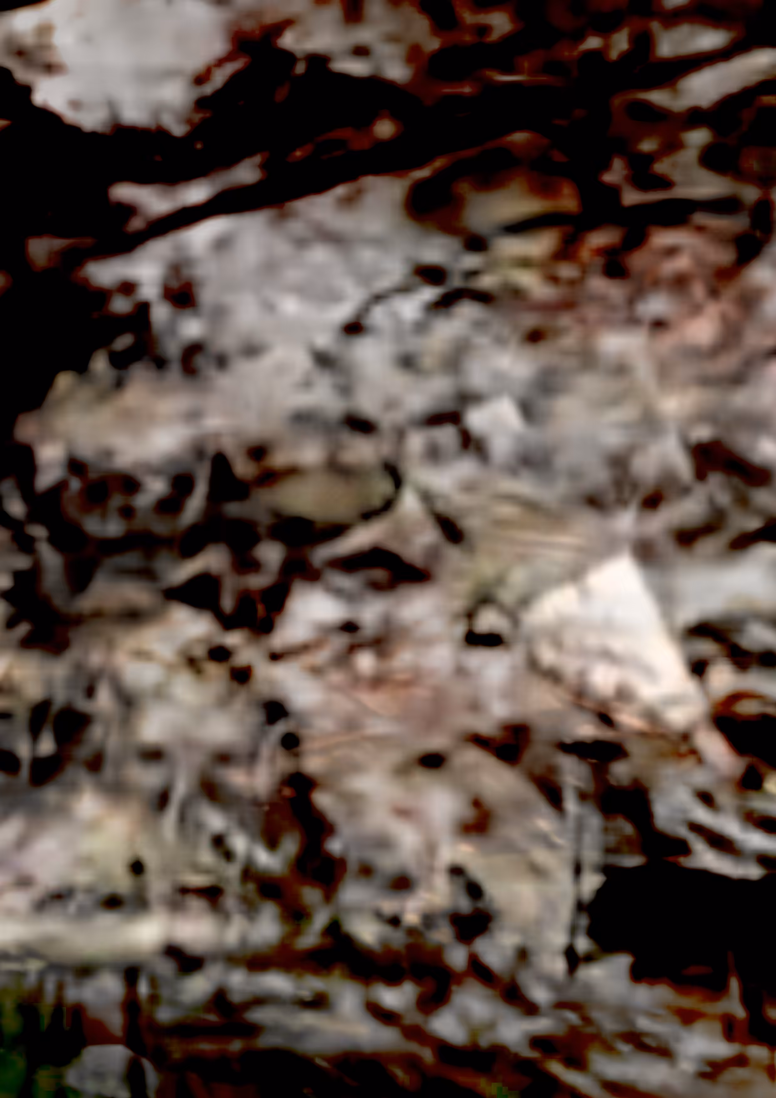 you_dont_have_eyes.png