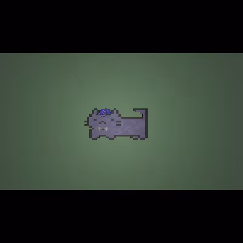 fx(cats) #7