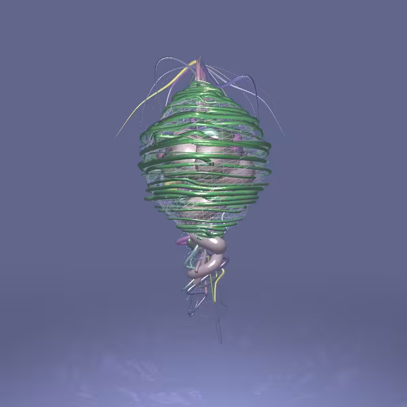 ProtoCephalopod:01 #77