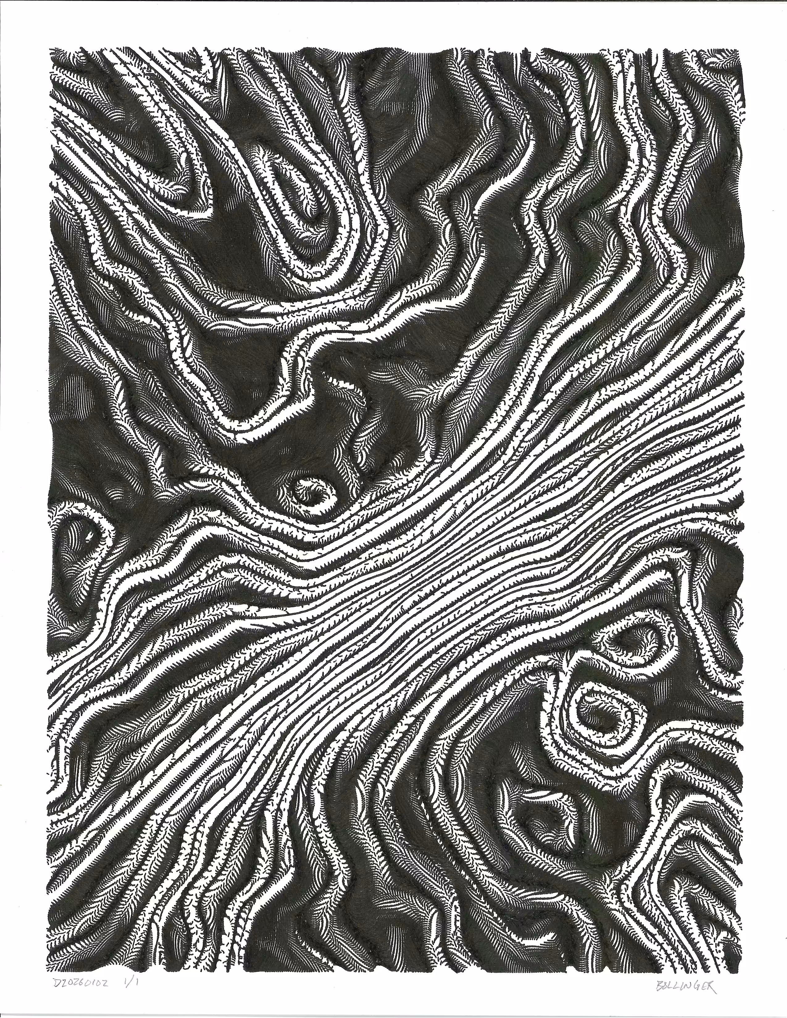 Physical Pen Plots: D20260102 Wave Funk S2#2