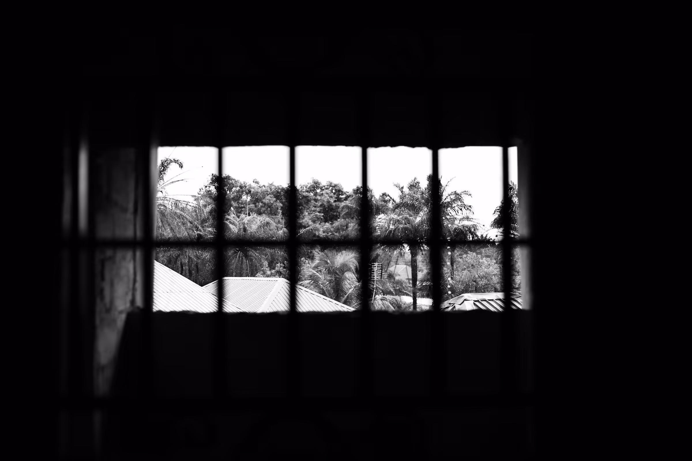 Monochrome: Window