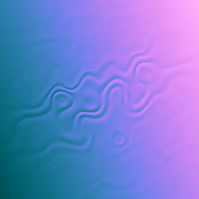 Sand waves #116