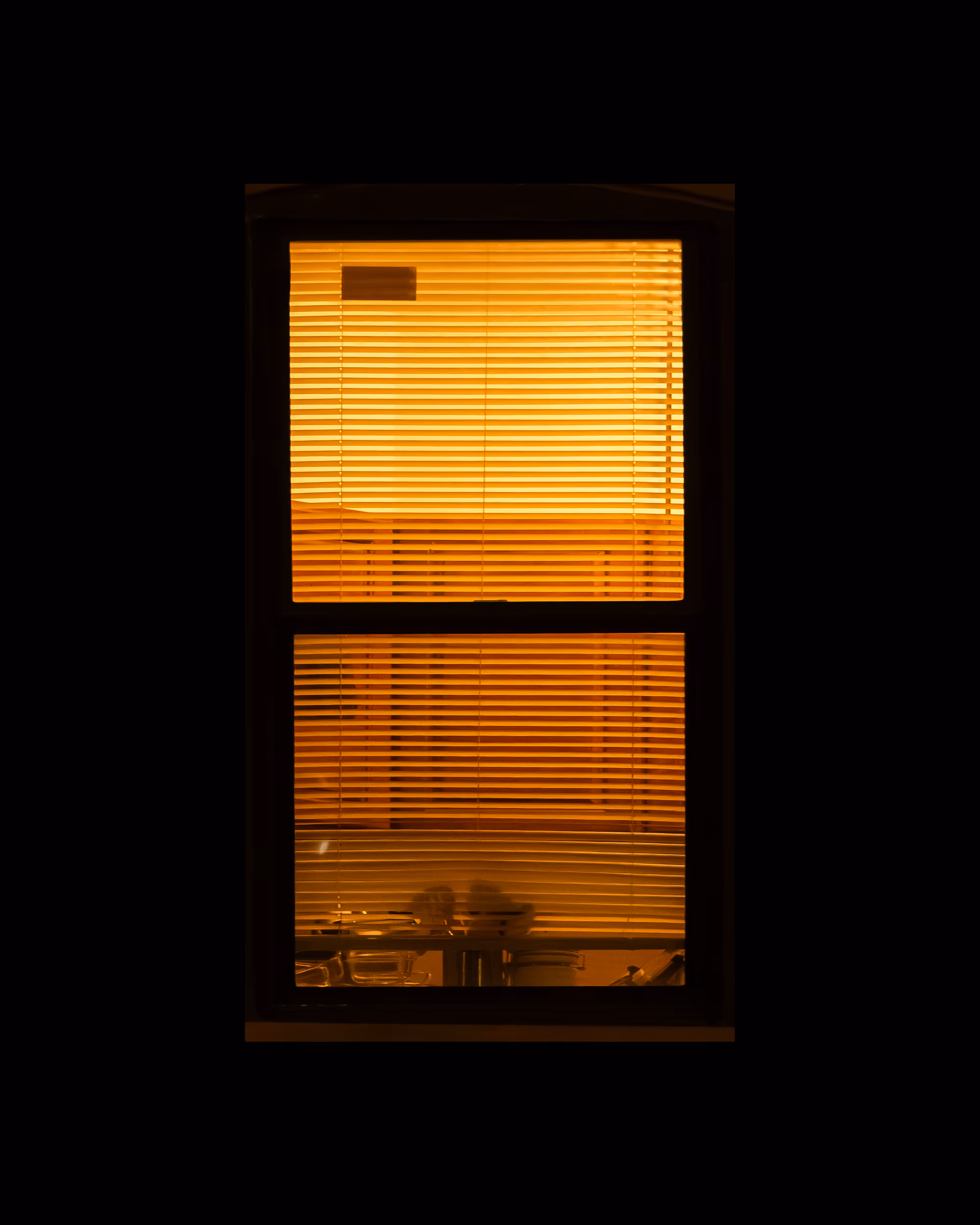 WINDOWS // NYC: WINDOW 462