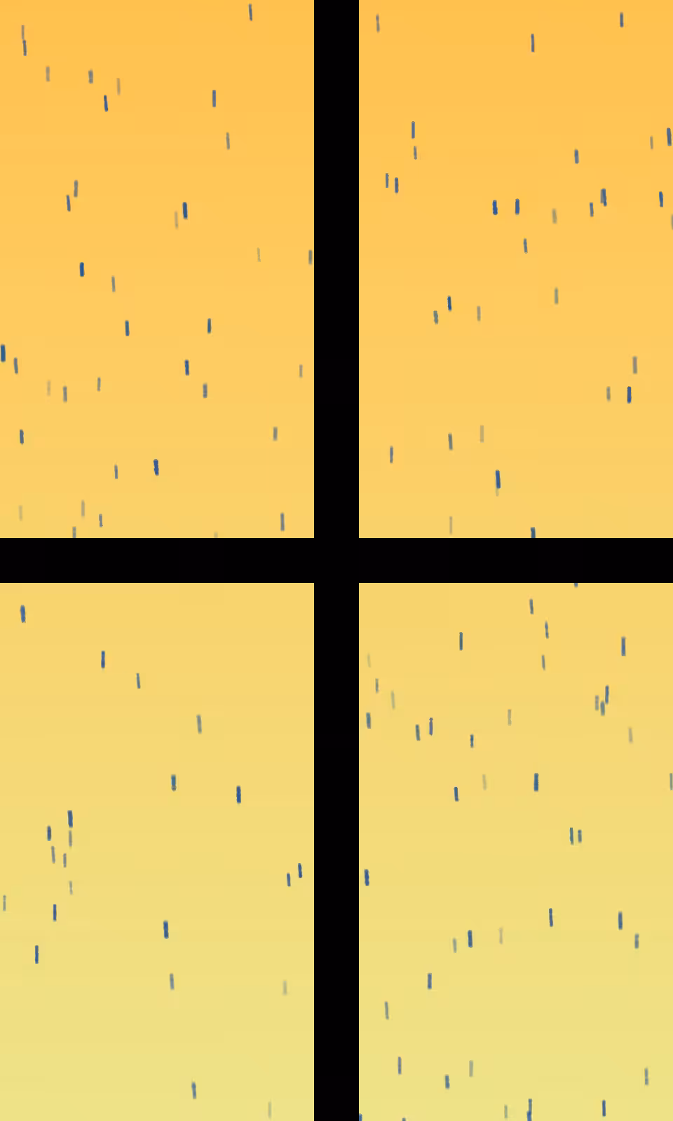 Outside your Window #52
