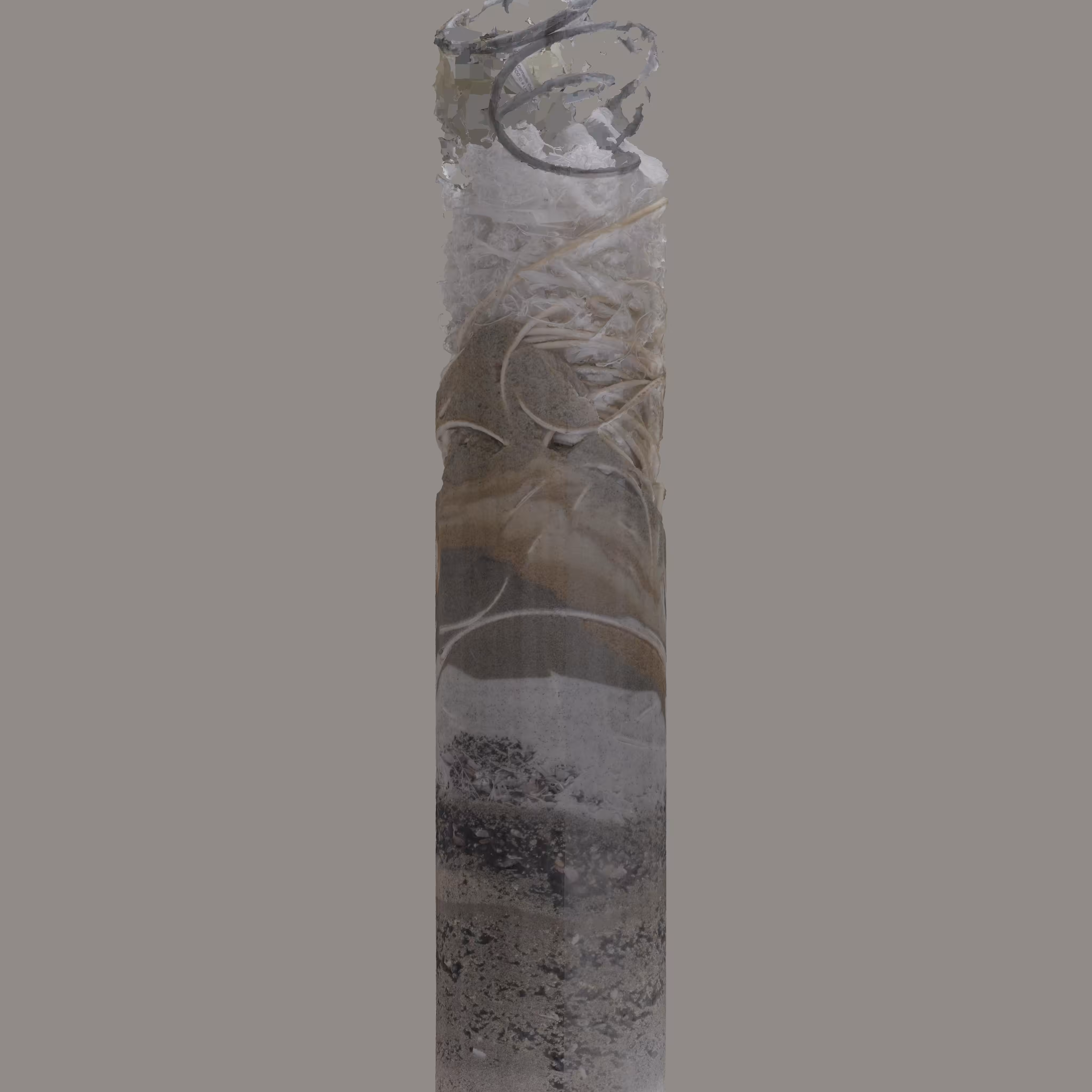 Speculative Core Sample 5, View #3