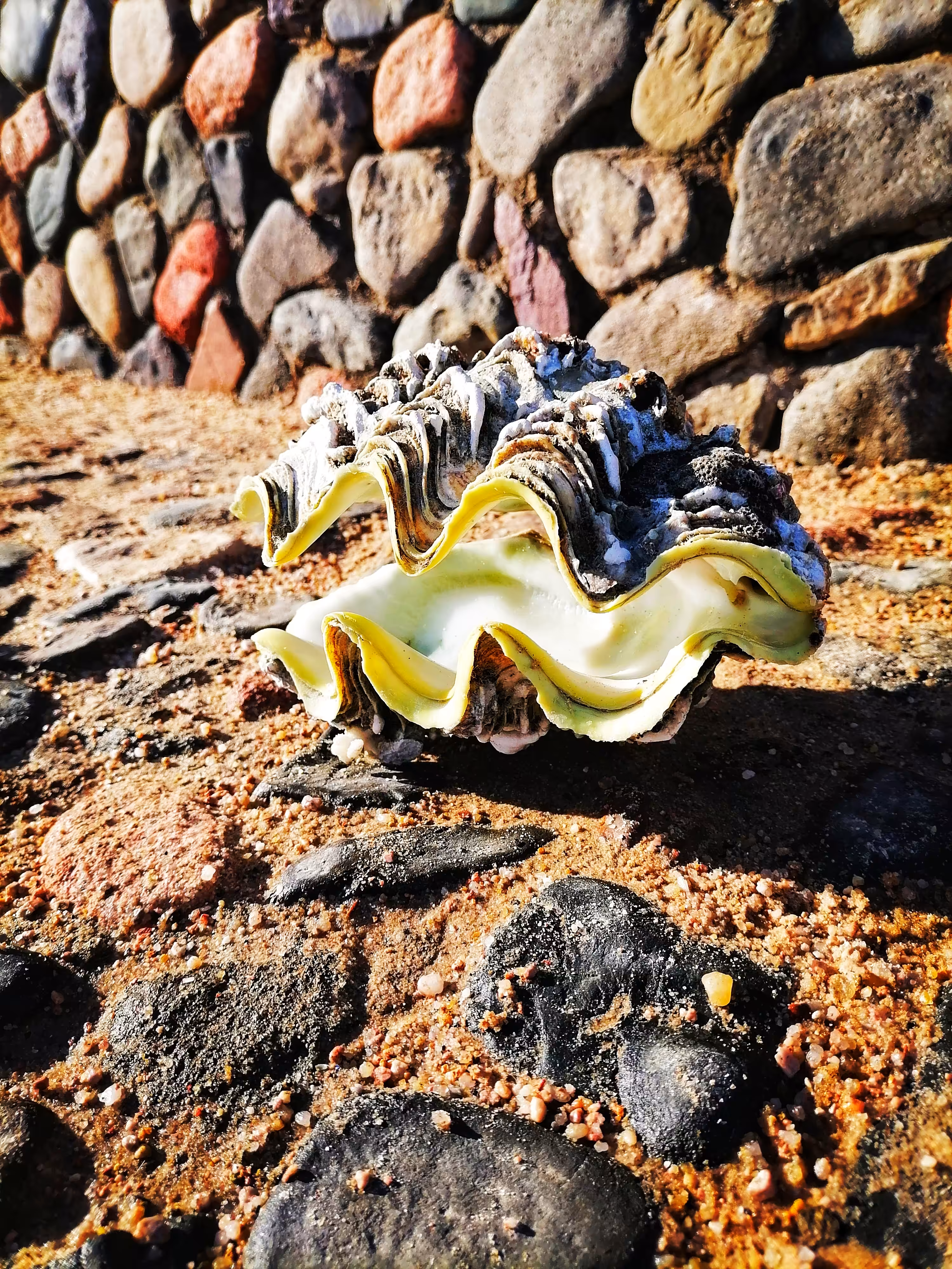 Postcards from travel: The gift of the sea