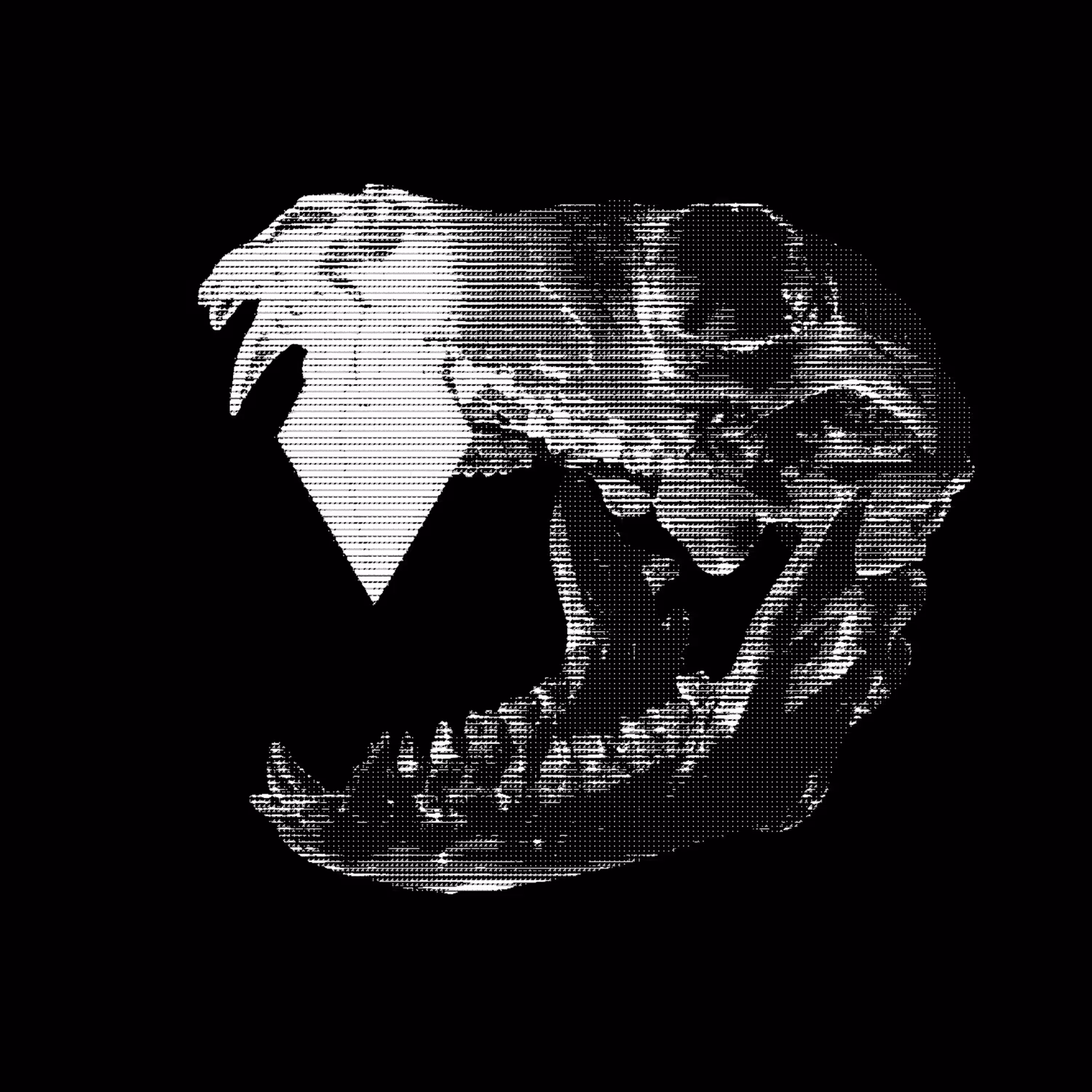 BONEBYTE