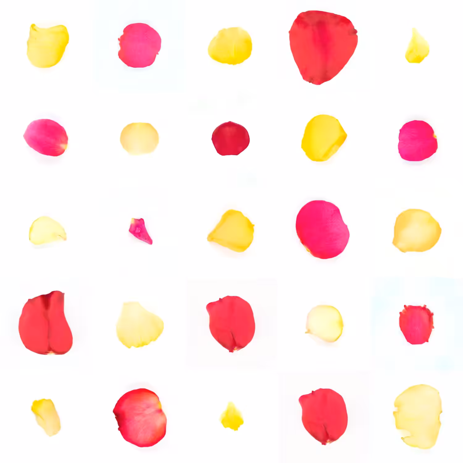 Infinite Petals 5x5#1943