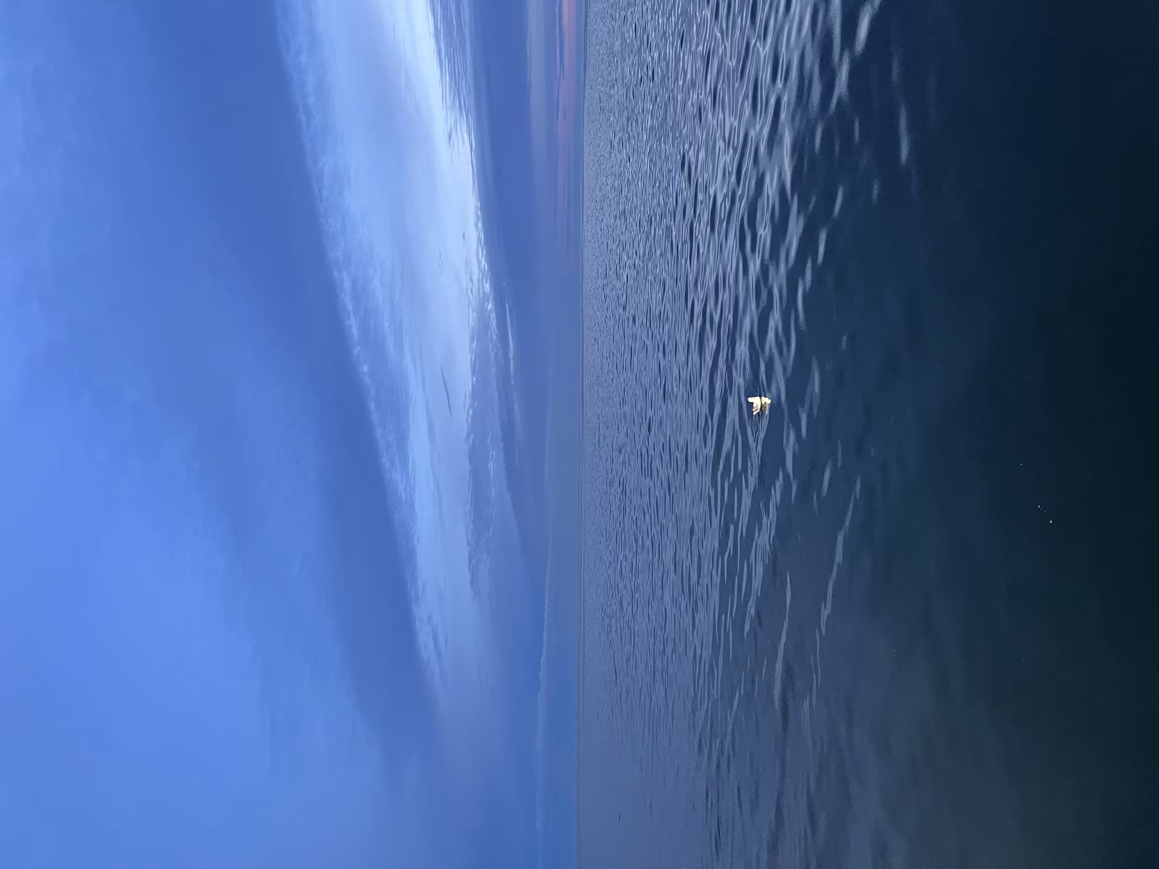 Alone