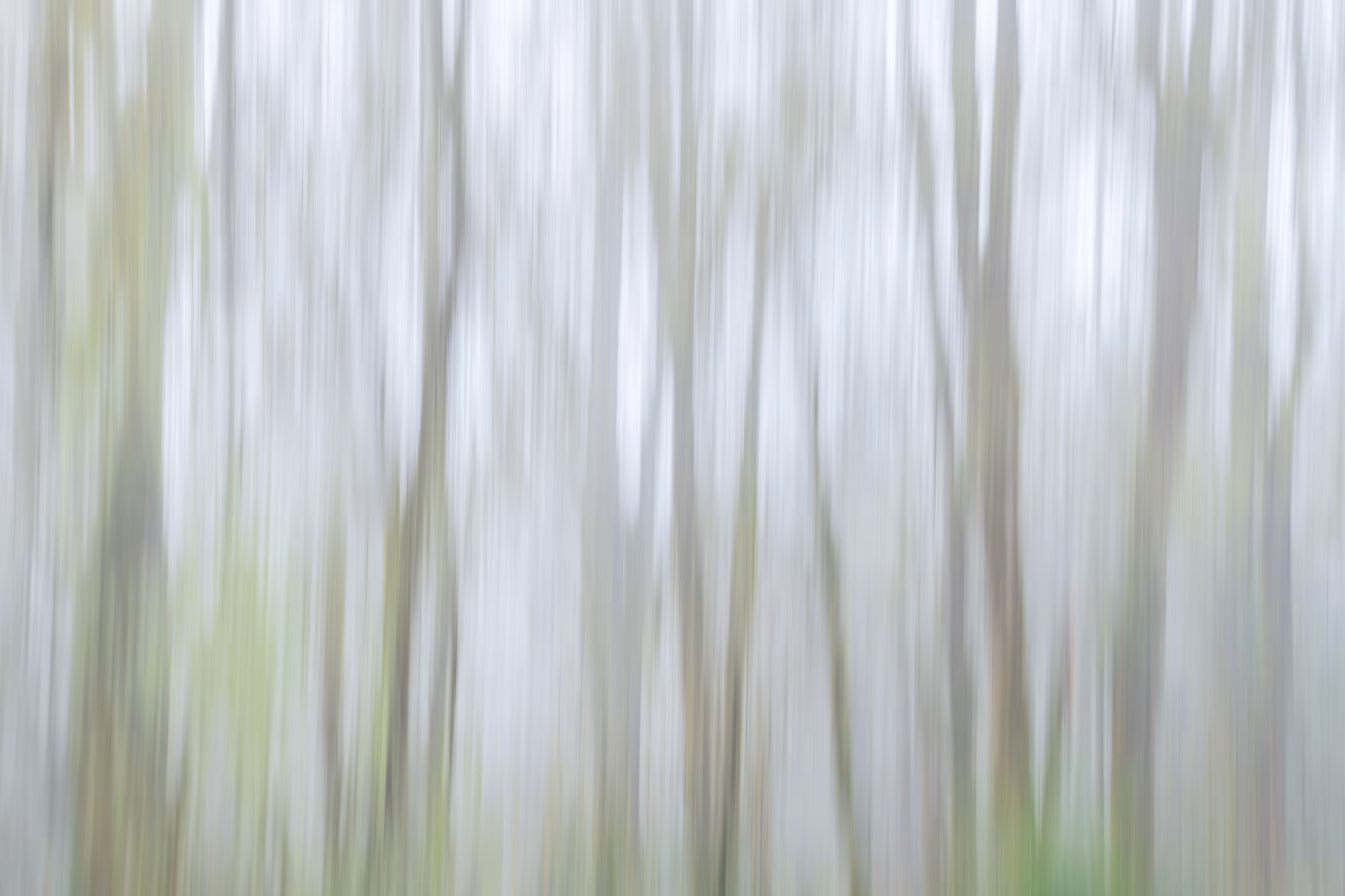 TJ Thorne: Fog Catcher