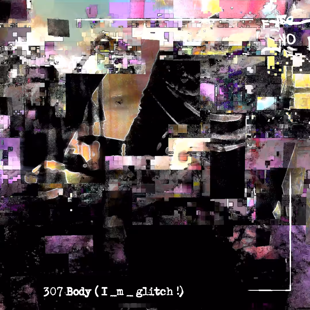 307 Body ( I _m _ glitch ! )