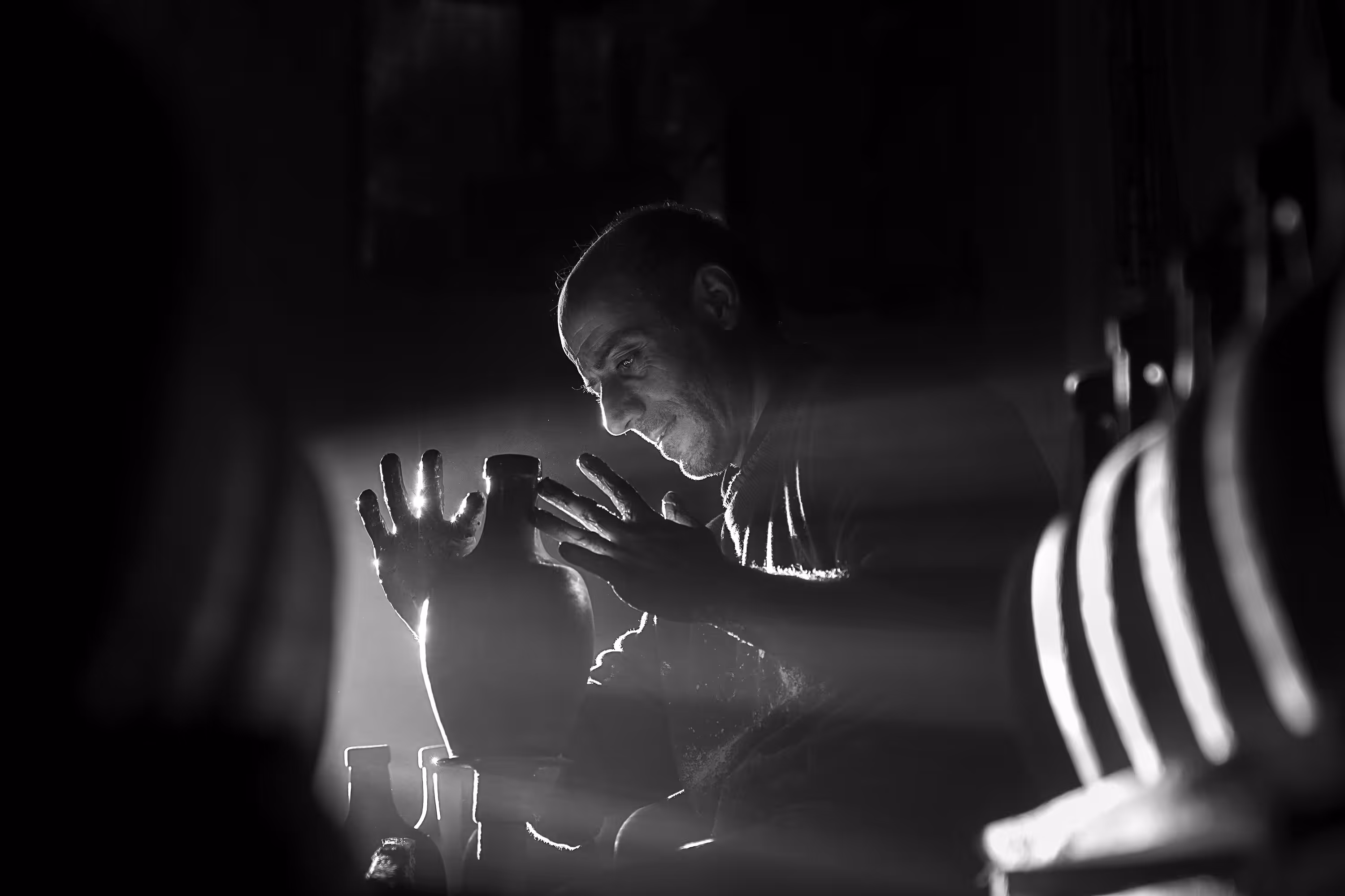 The Light and The Potter