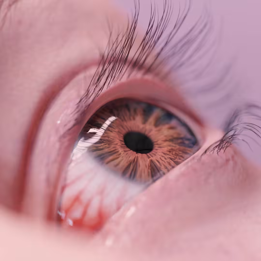 Speyeder