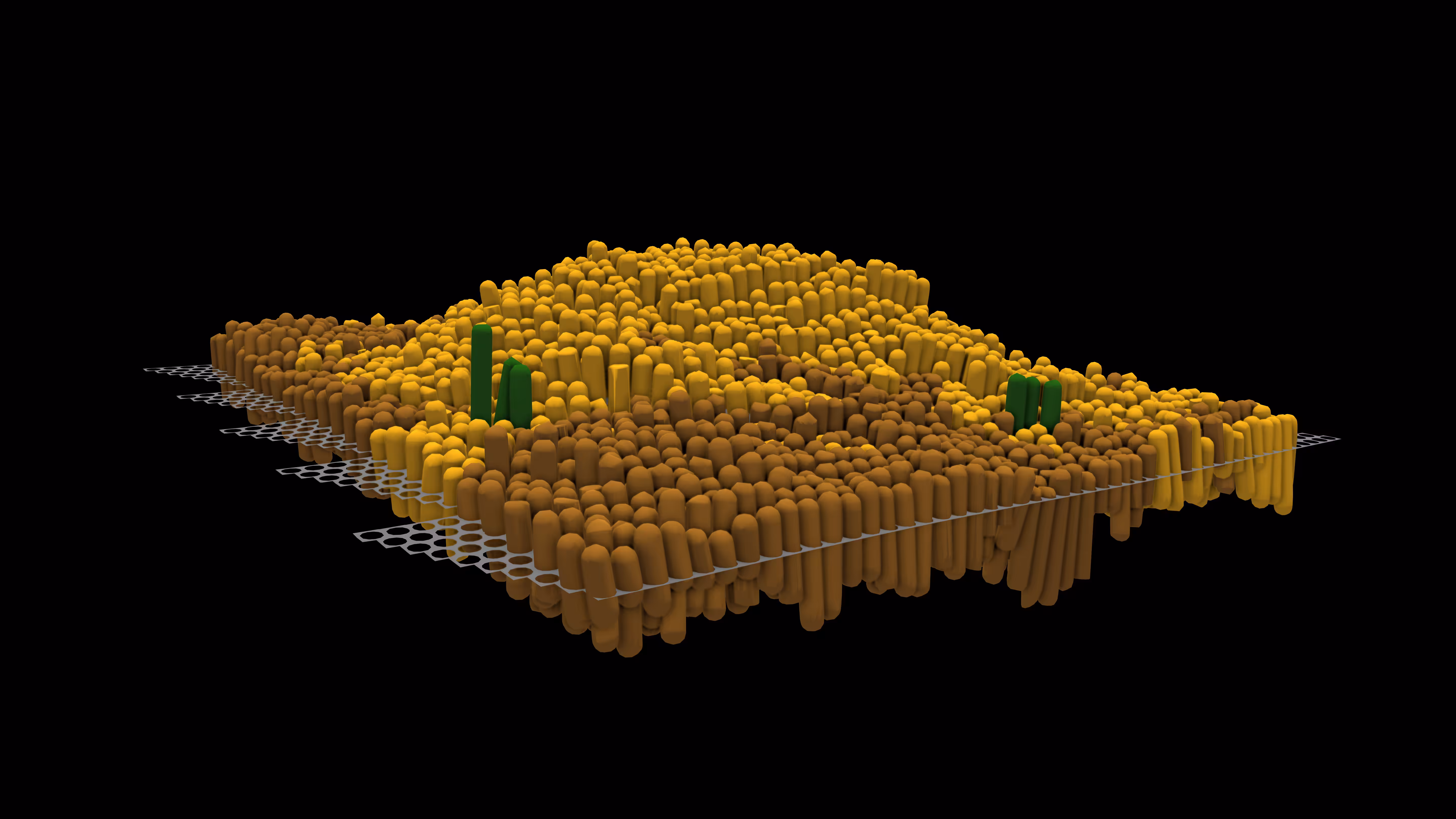 Desert with Cactus