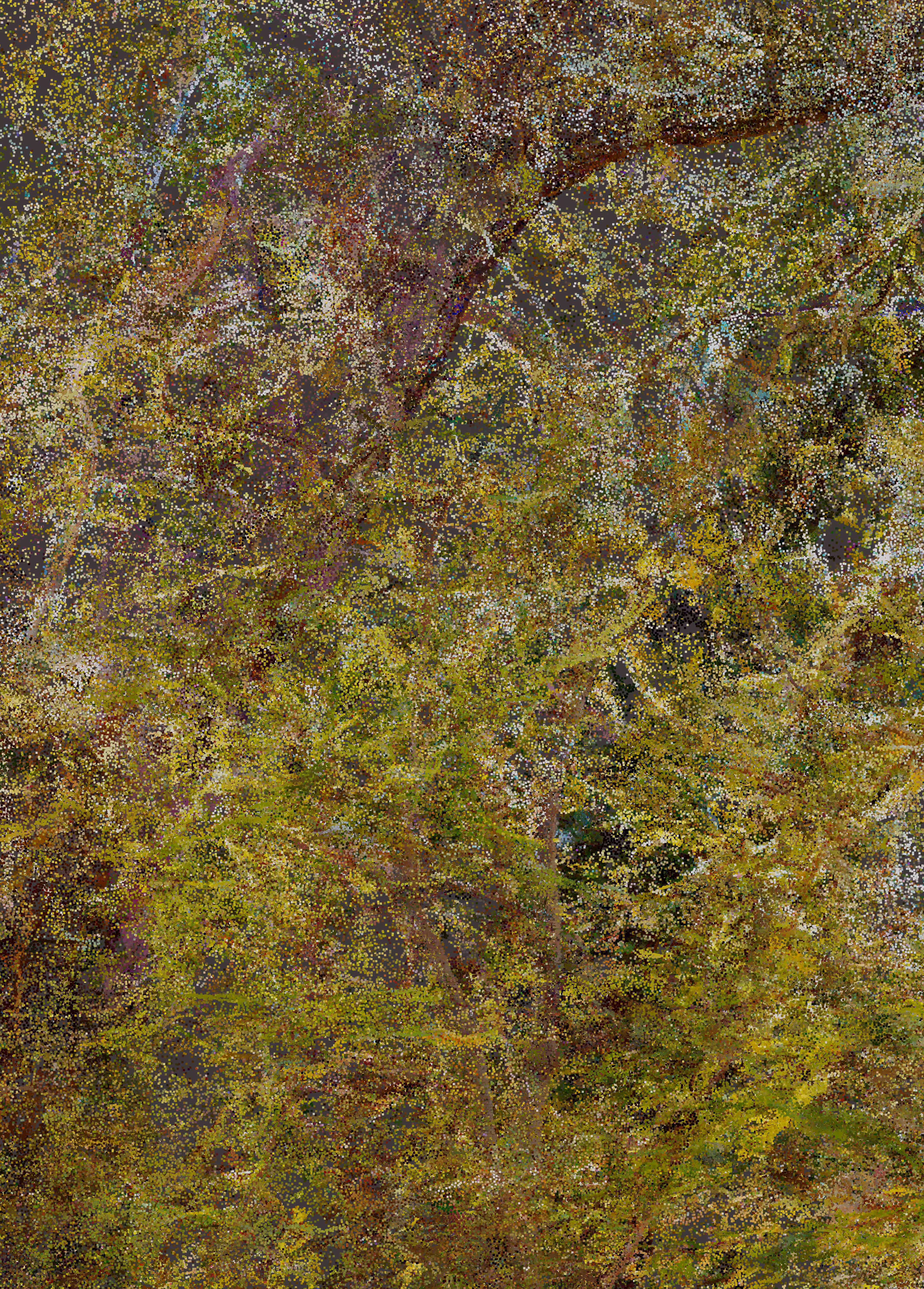 Provence I_01-5