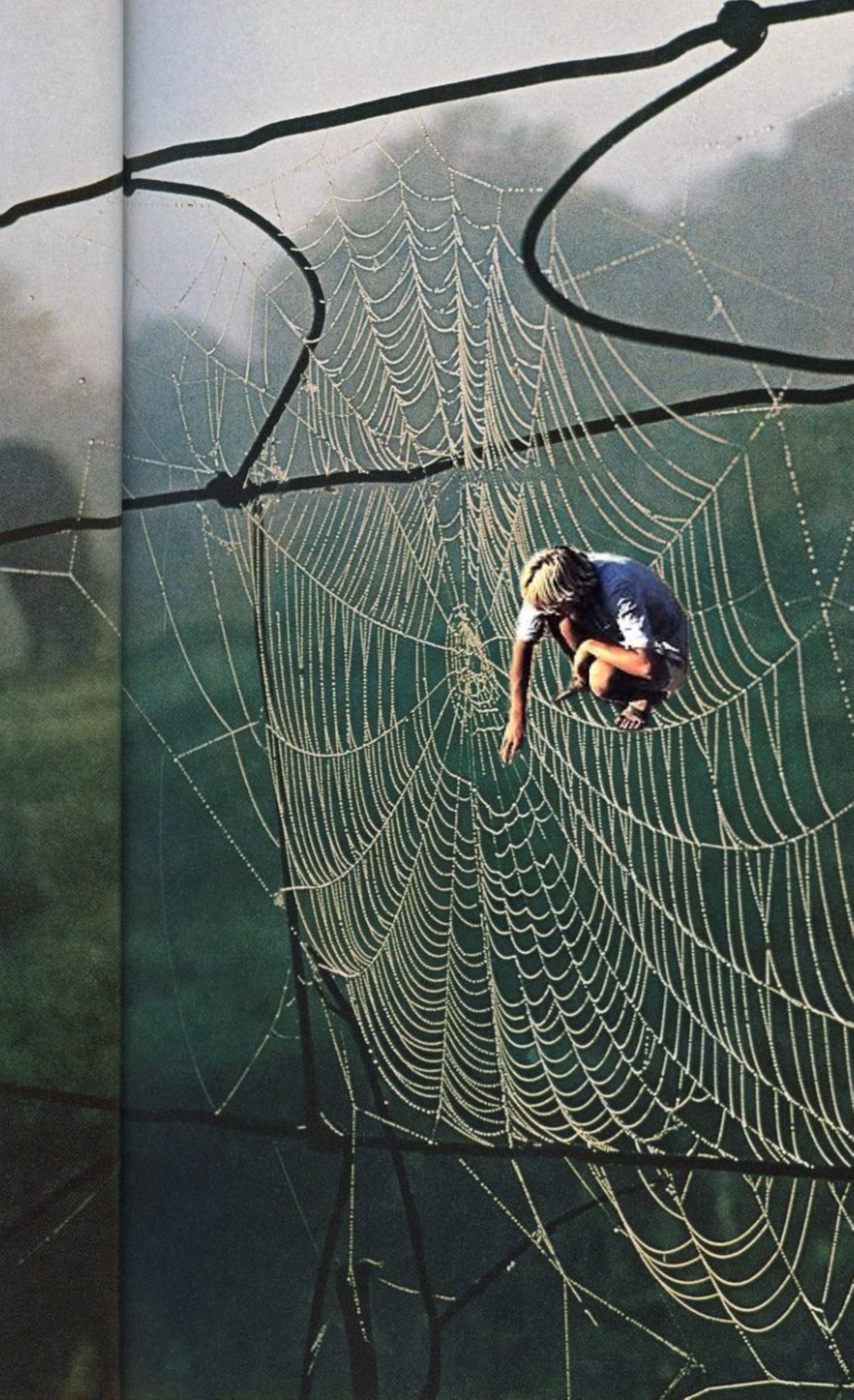 Spiderwebs