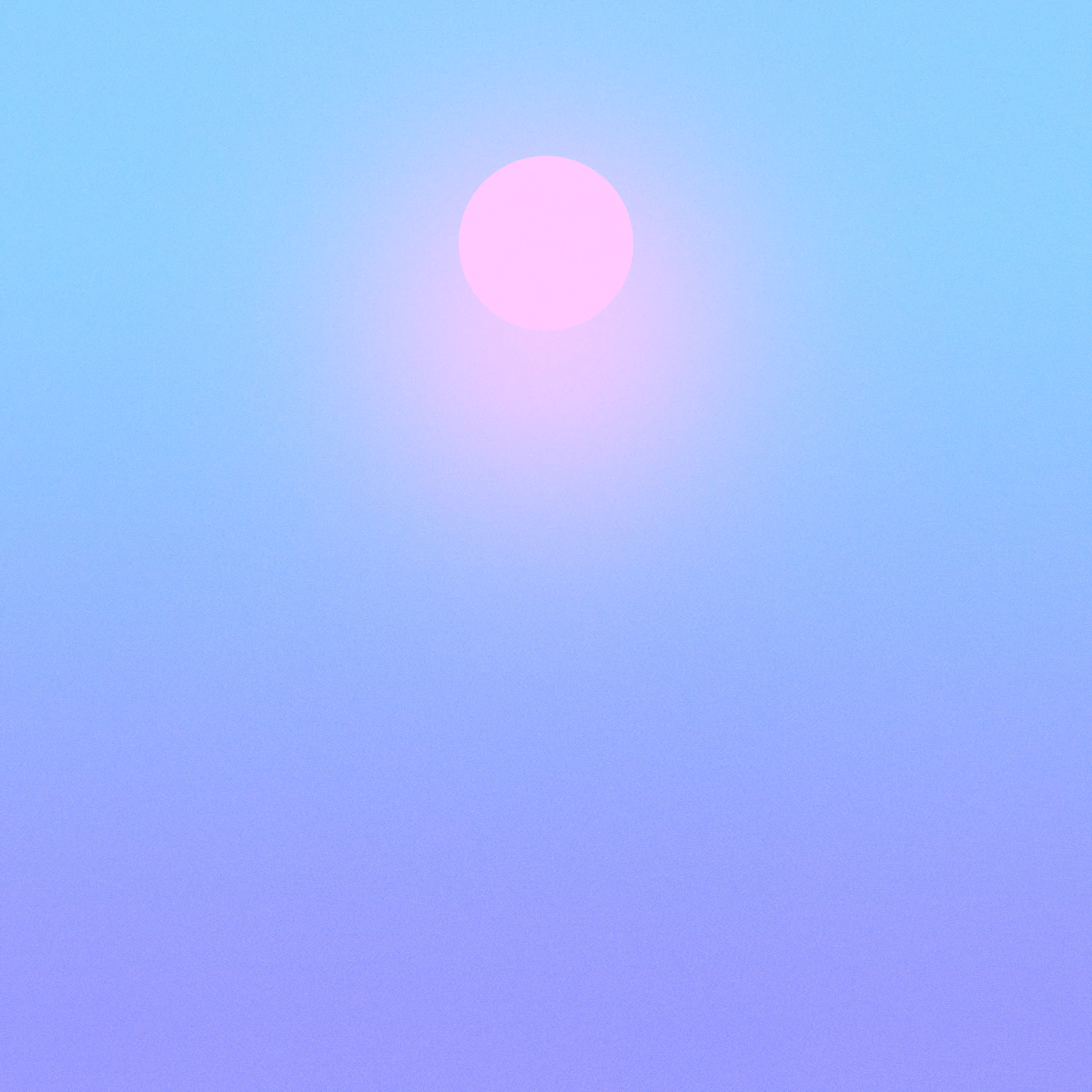 with the light 13