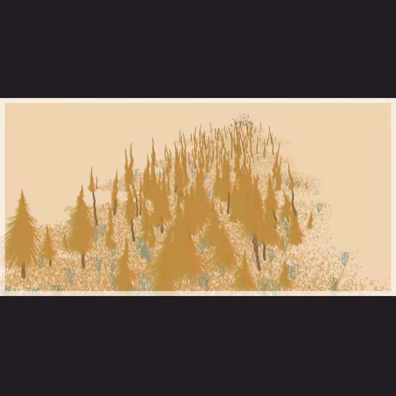 Flat Valley #11