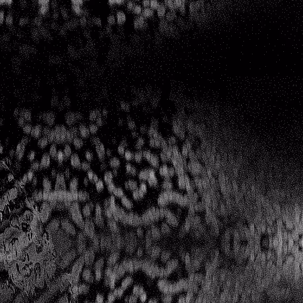 HIDDEN IN NOISE: Noise #896 