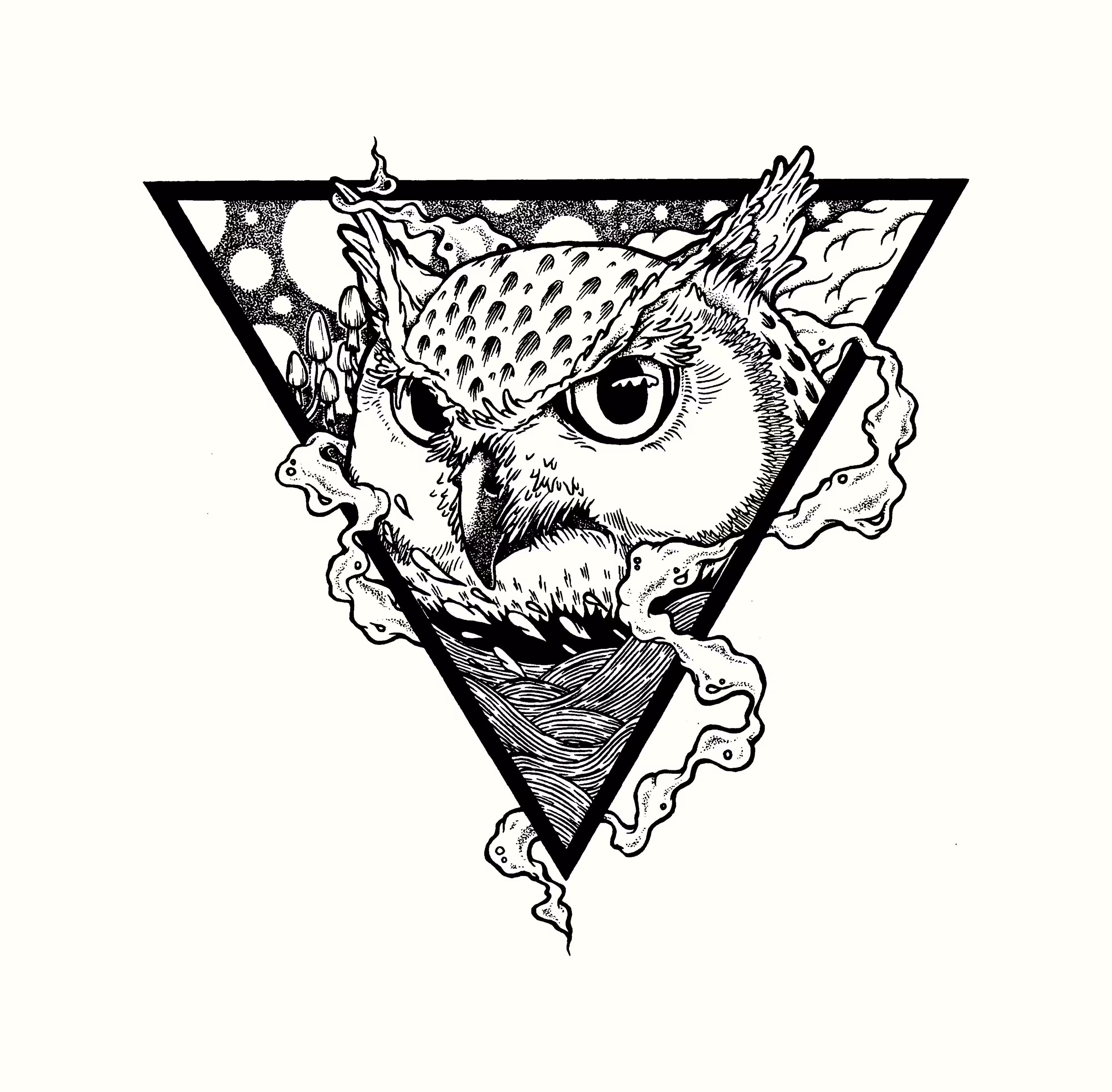 TIger Owl
