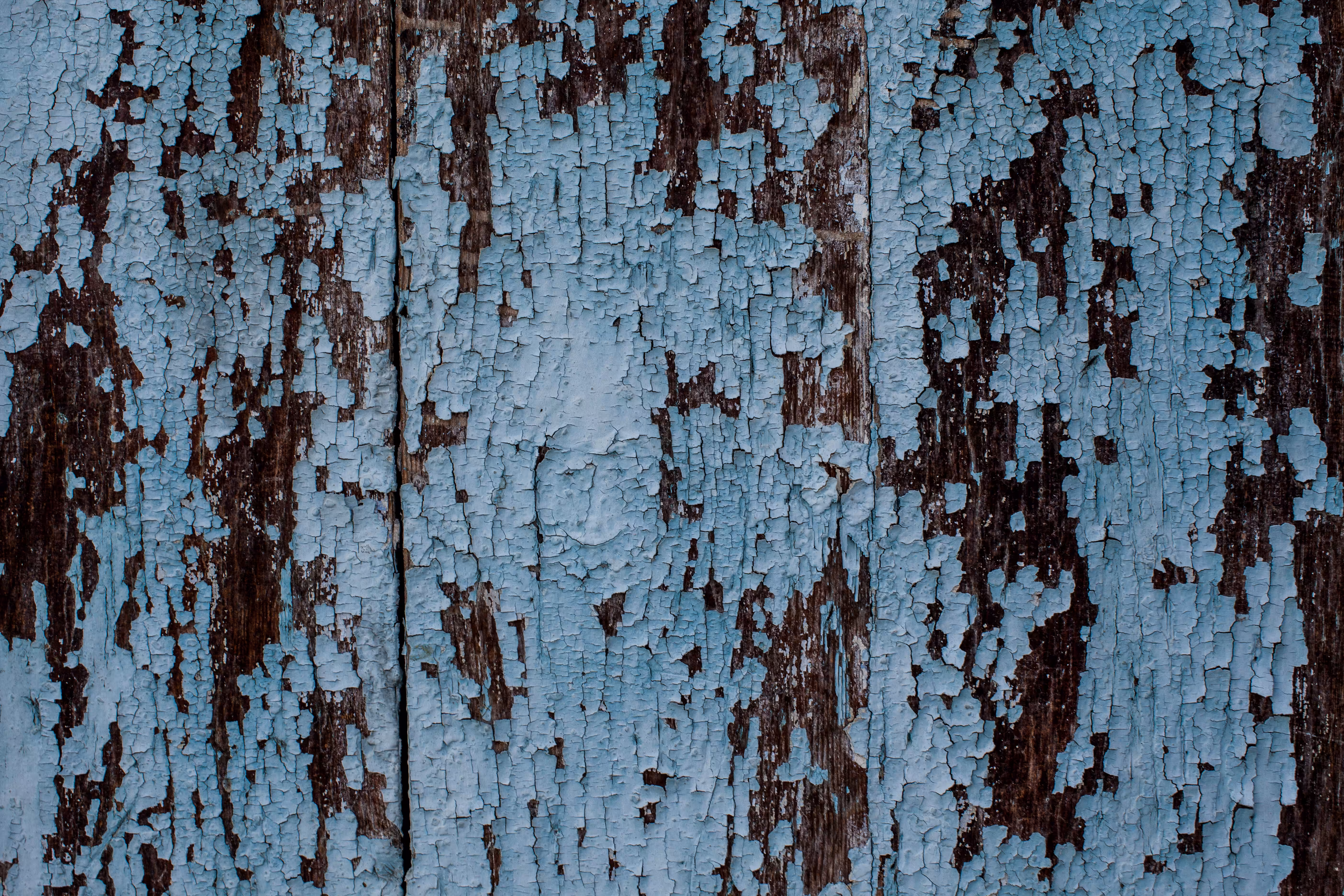 Urban Decay