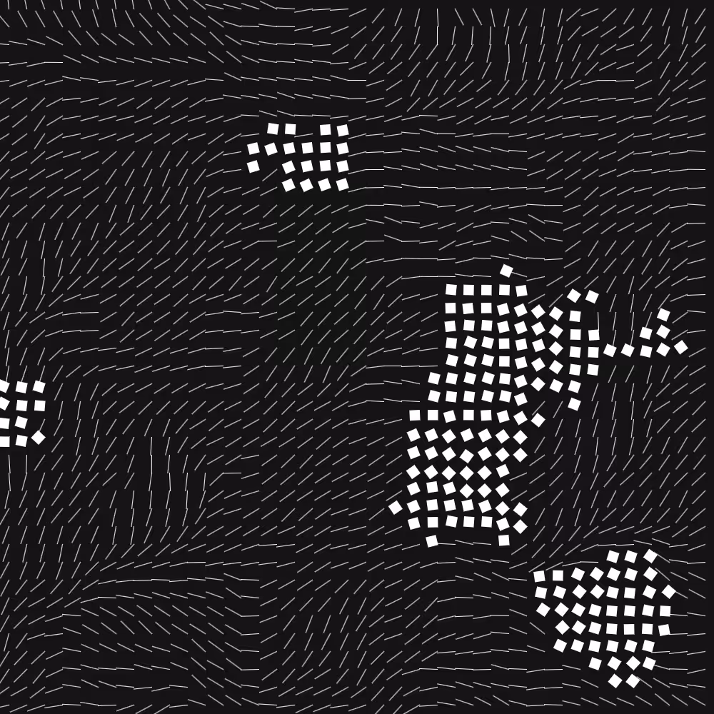 Geometric Fluidity #70
