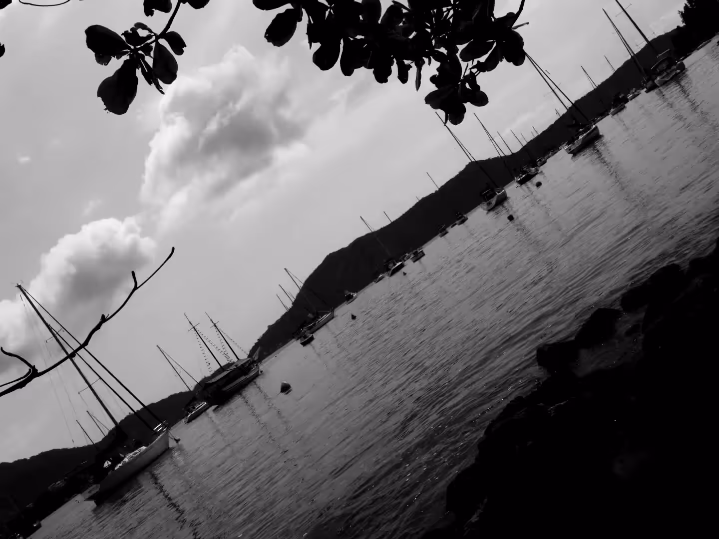 Timelapse-Abstract-Nature#1