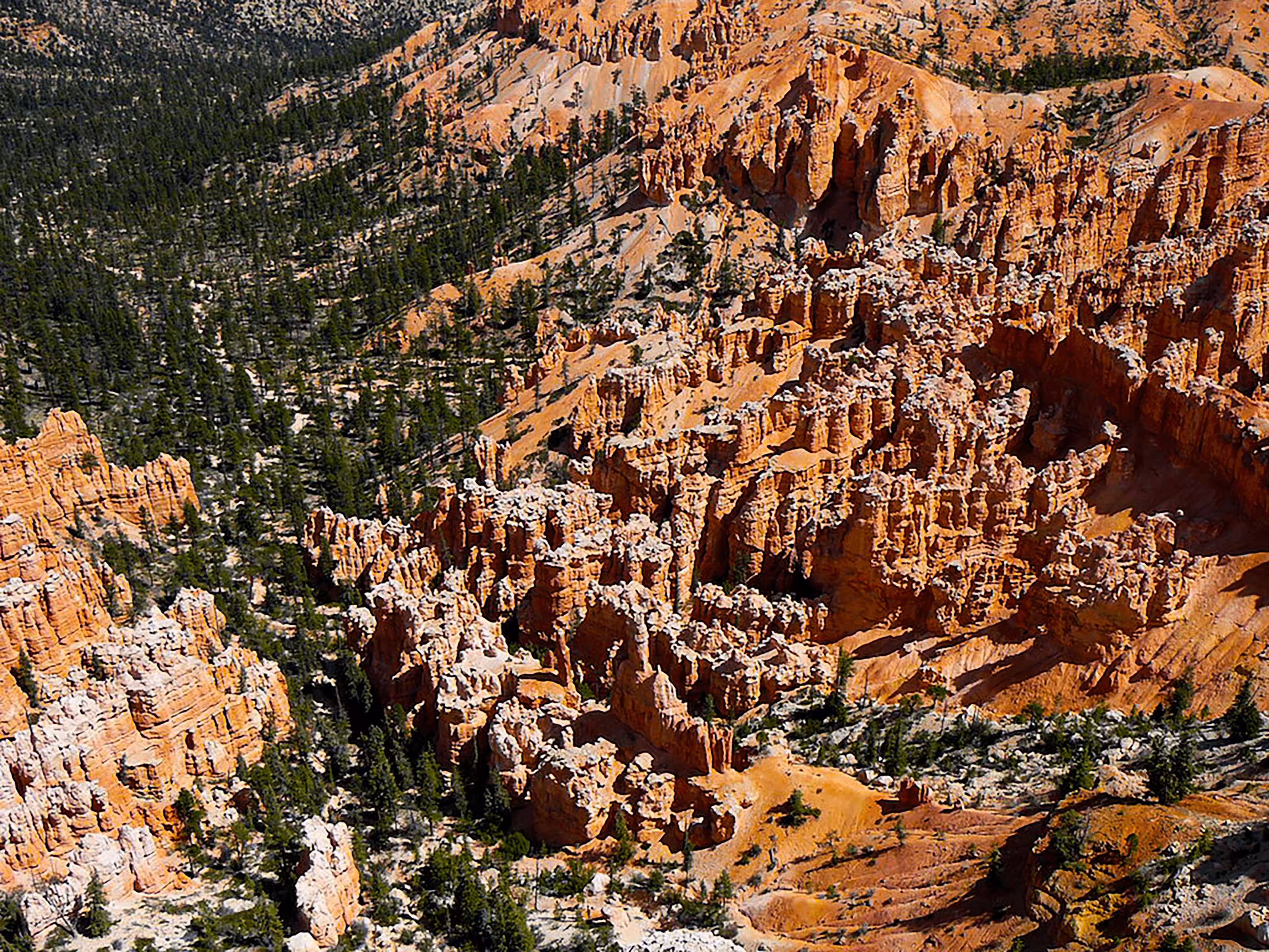 Formations #05