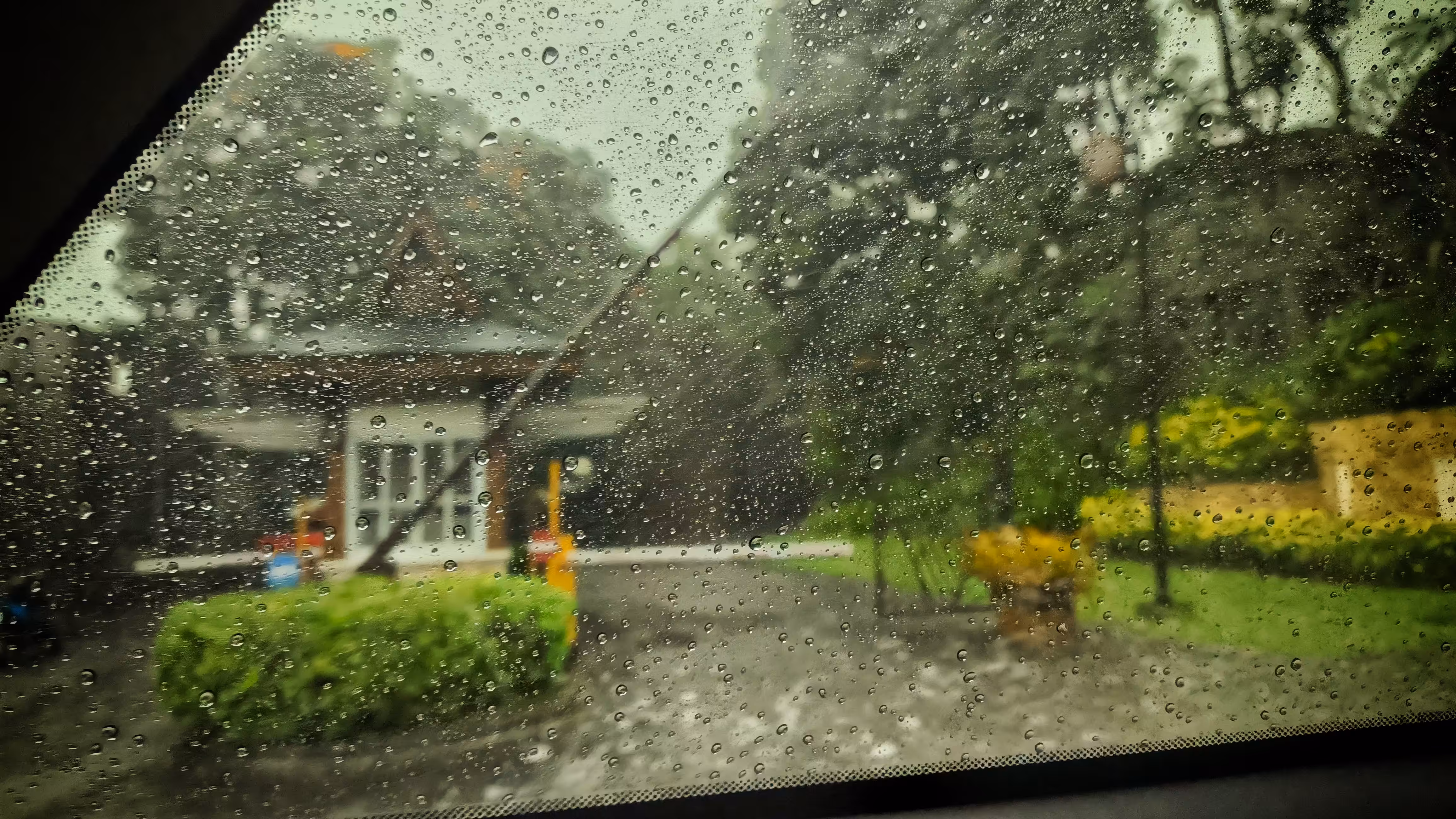 Creative Art: Rain Writes What Silence Cannot