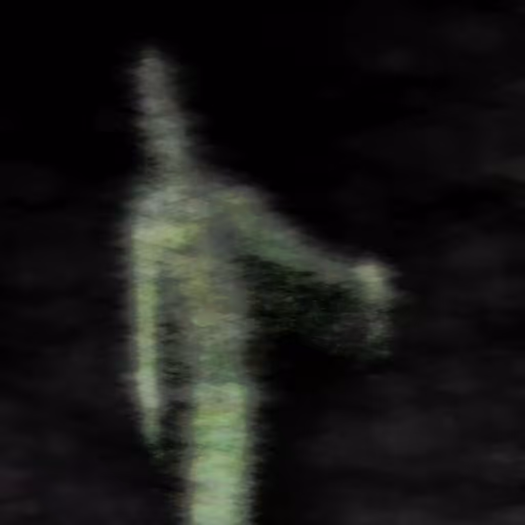 Phantoms: Phantom 66