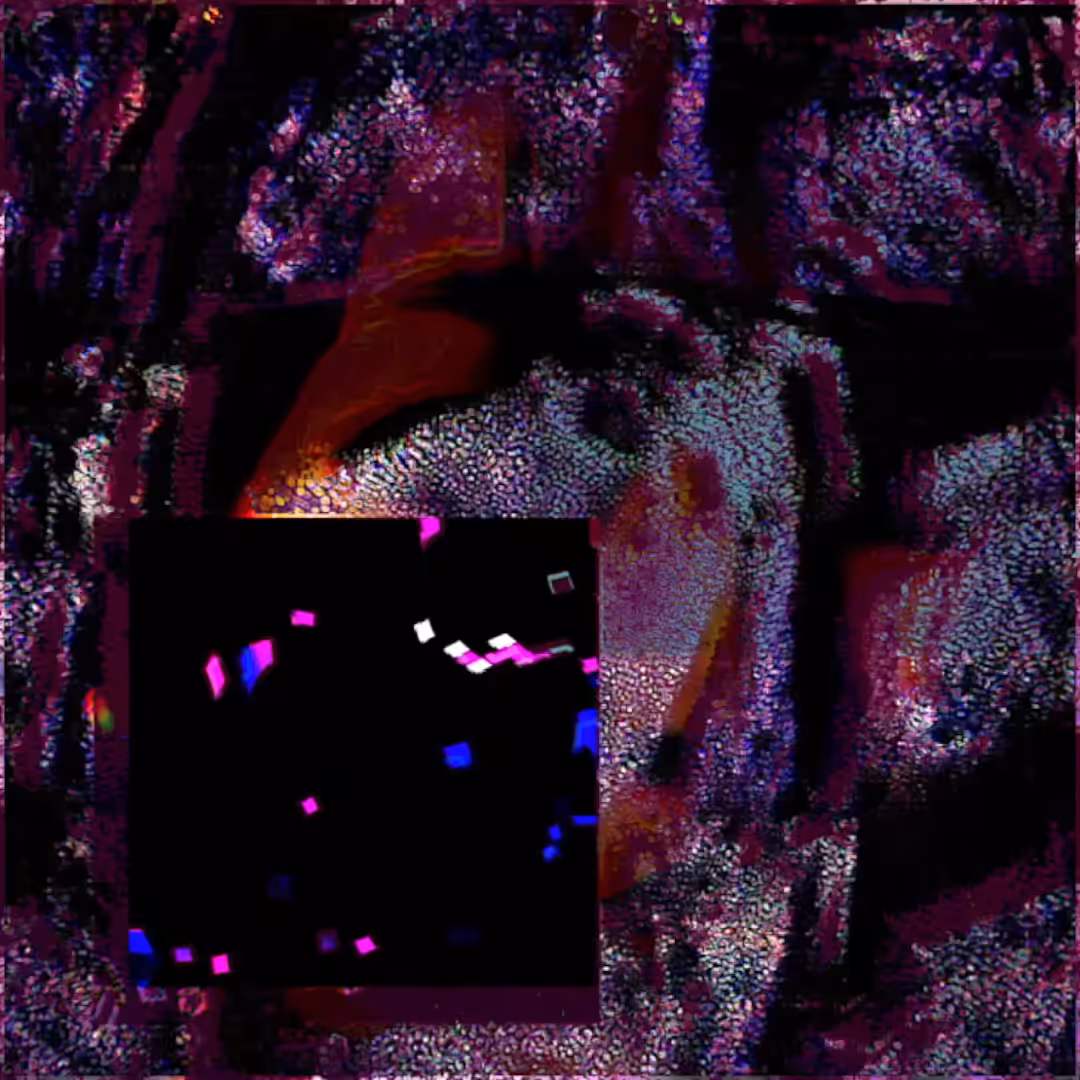 Identity Rush