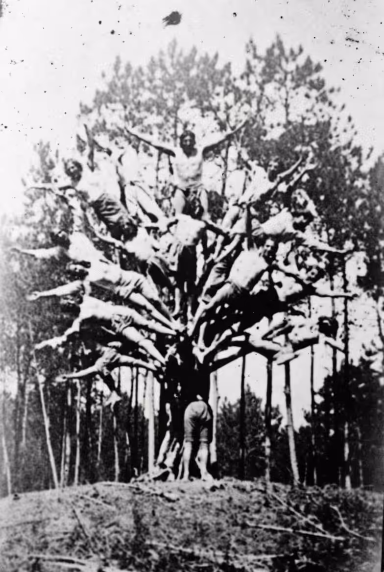 Once Upon A Midnight Dreary: Family Tree