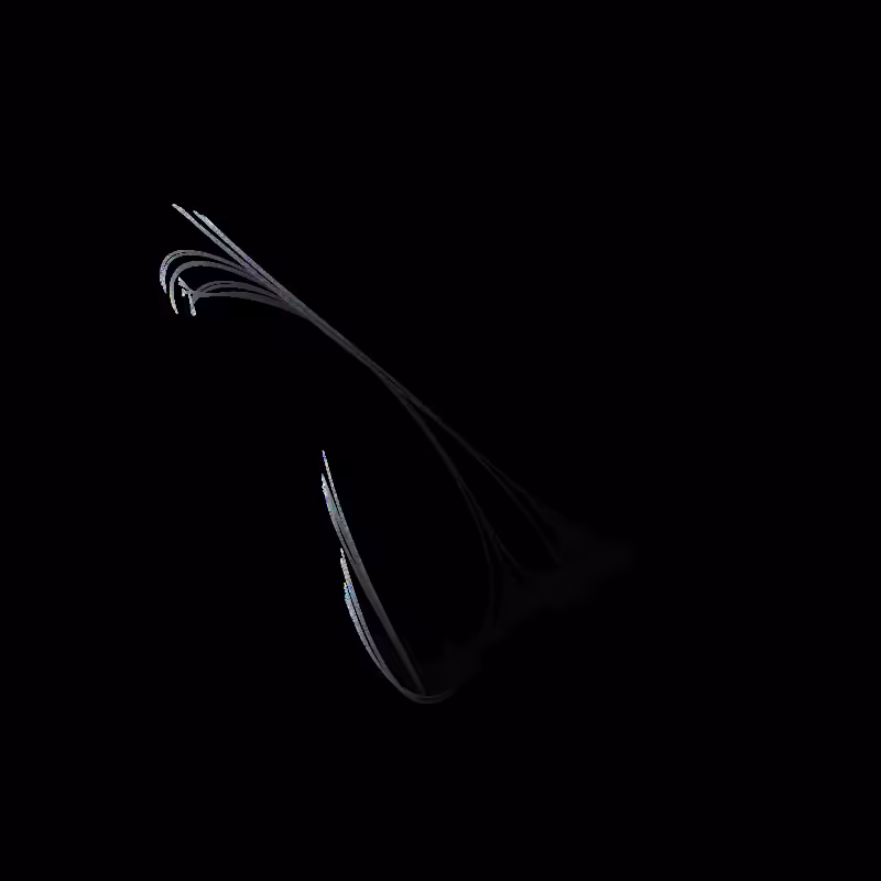 Fractal Amoeba #163