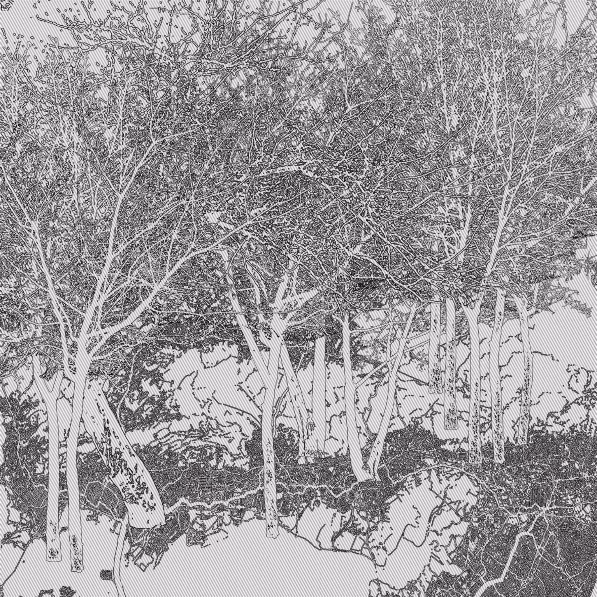 The Forest #3