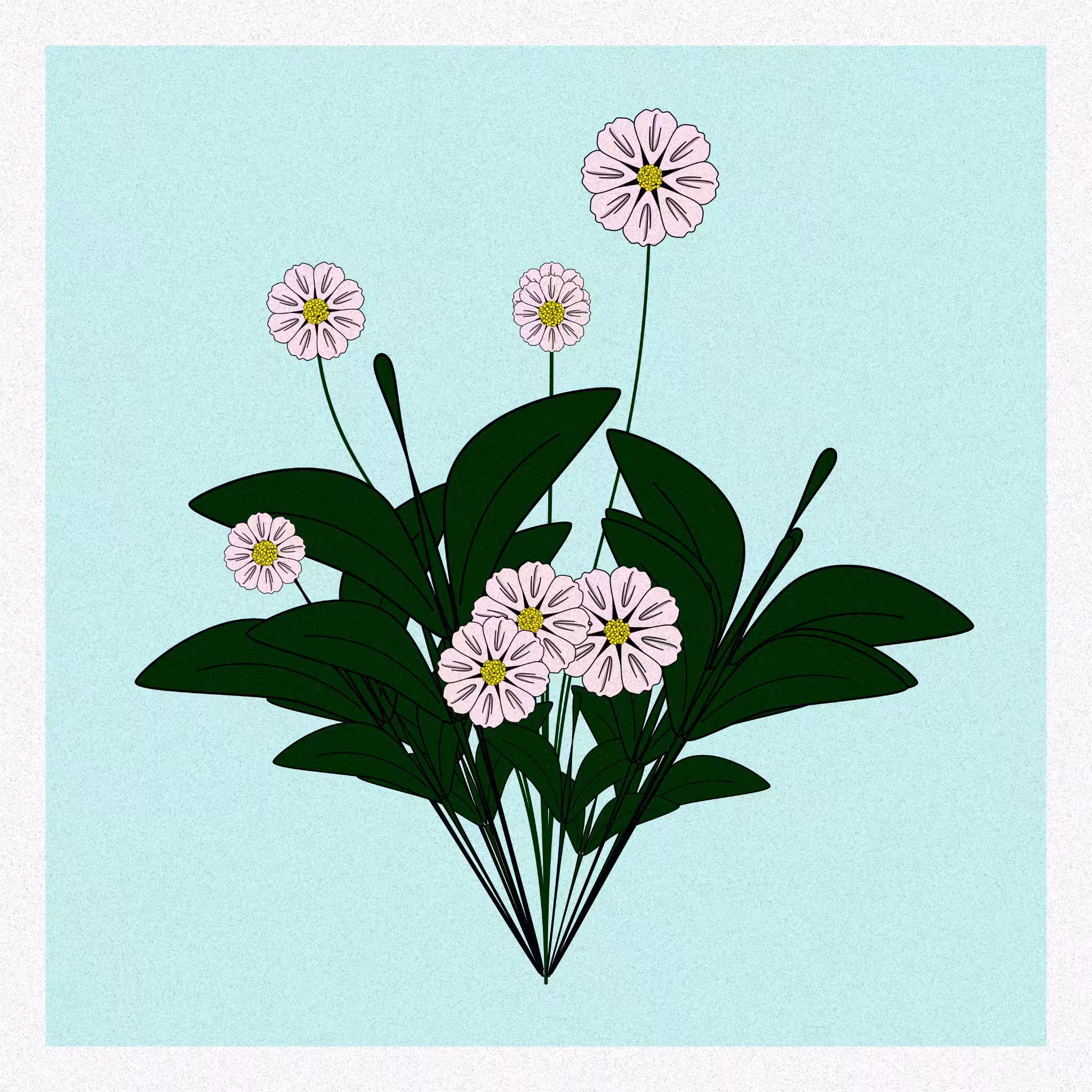 Flowers #218