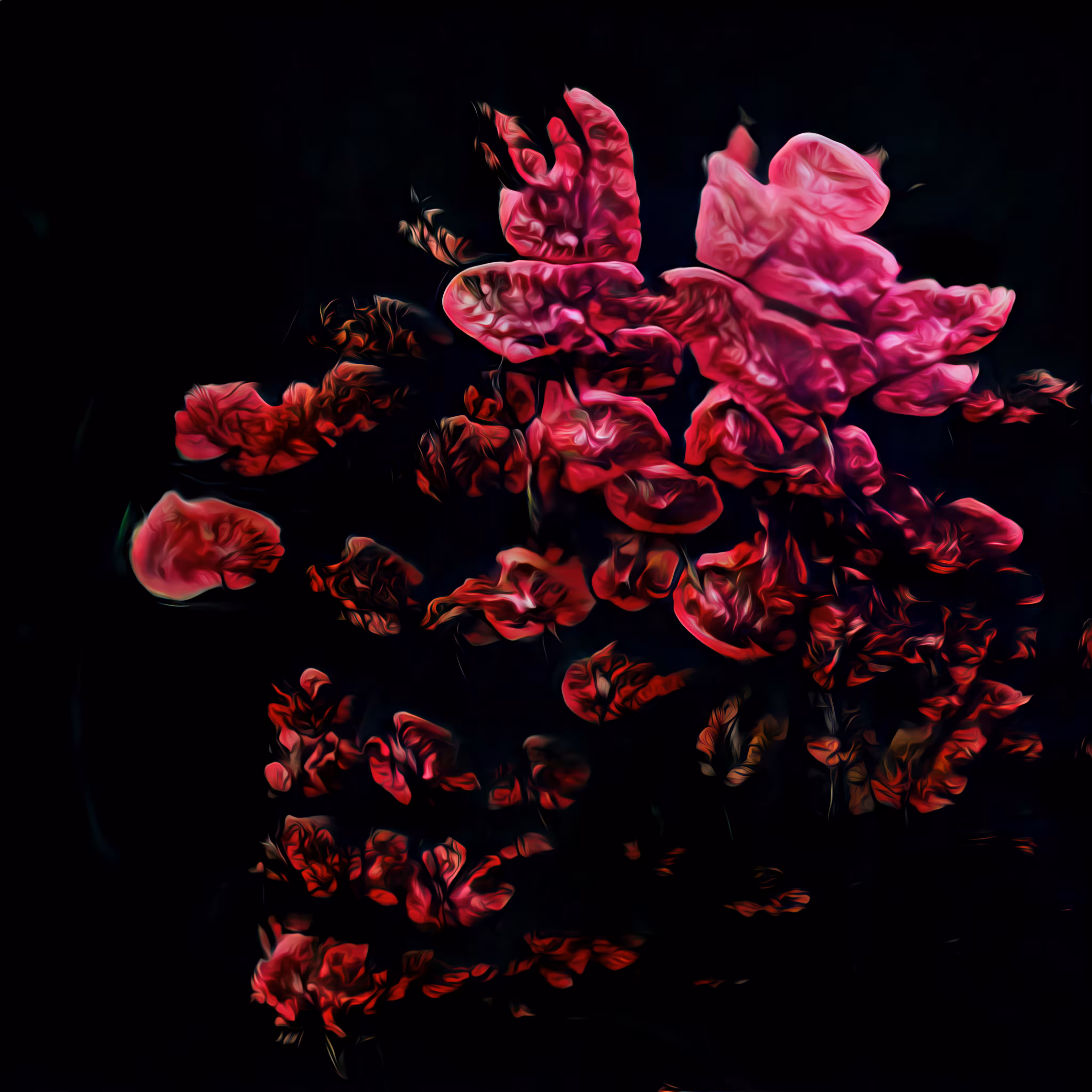 Flower 002