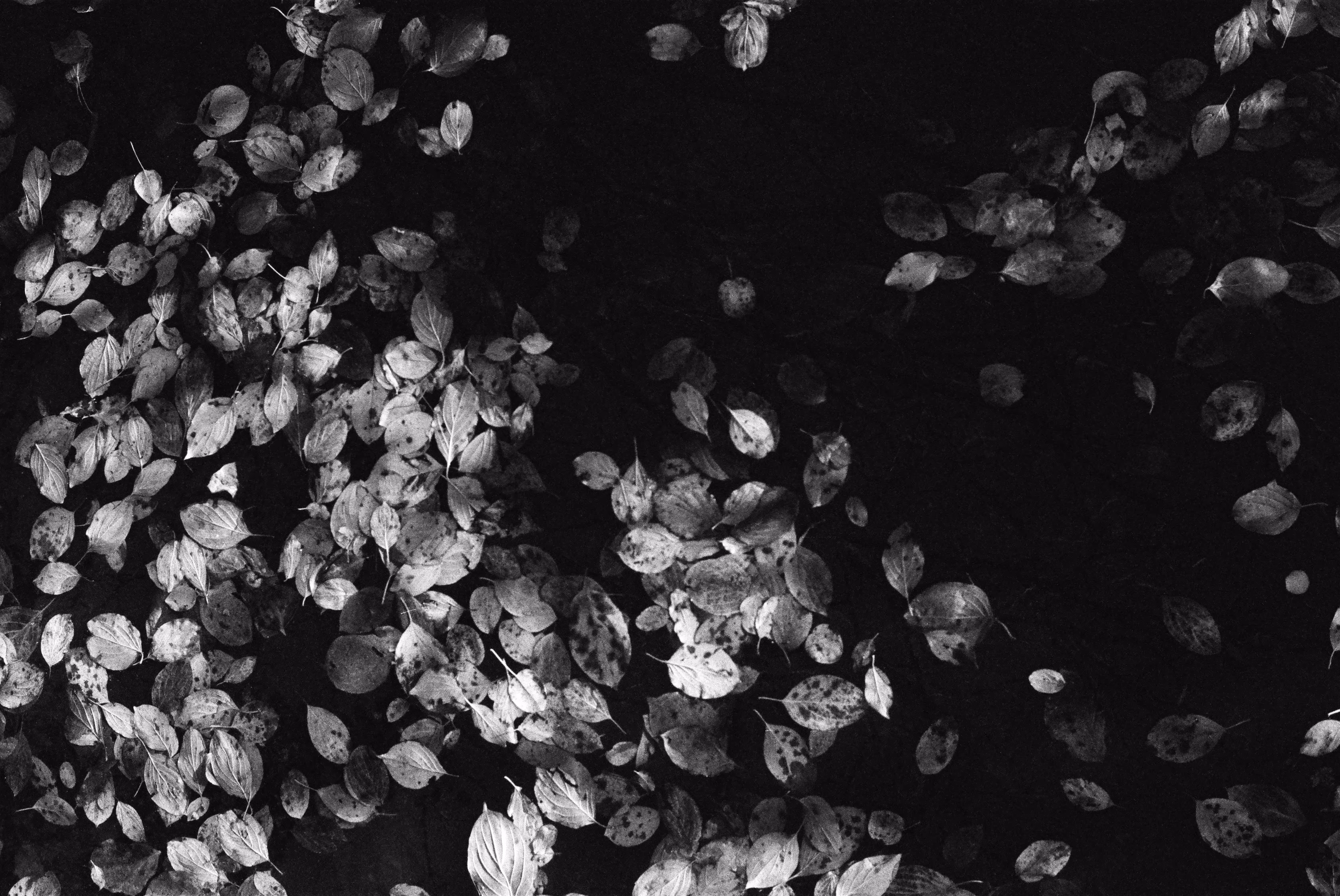 see no colors