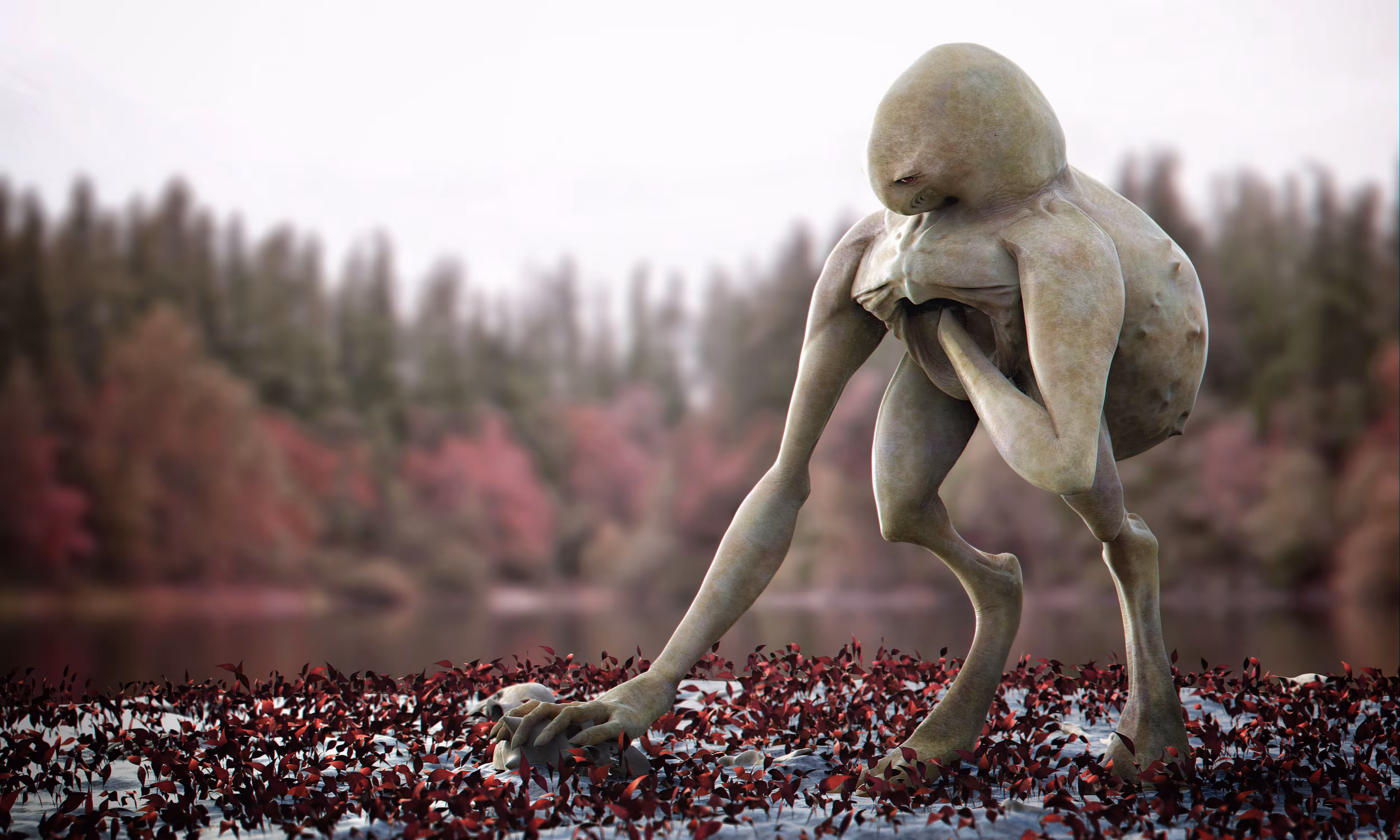 The Collector