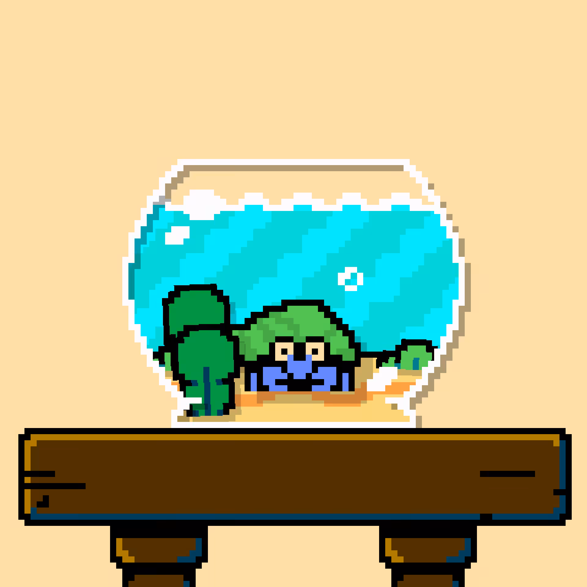 hermit crab #8