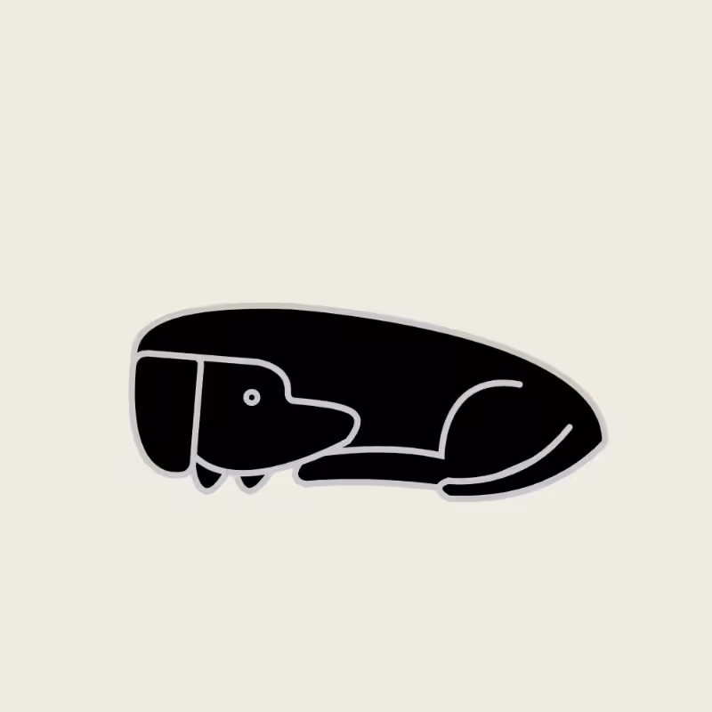 GOOD DOG #78