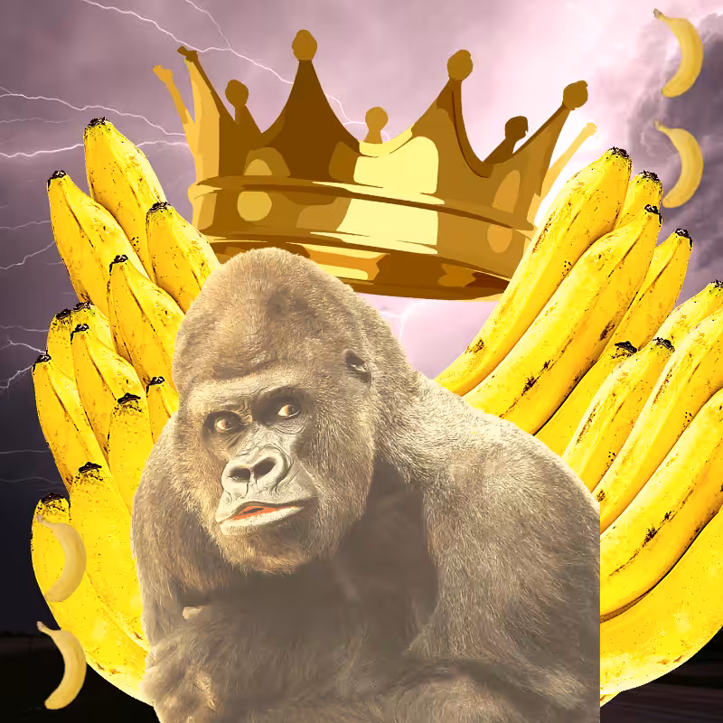 Banana gods #31